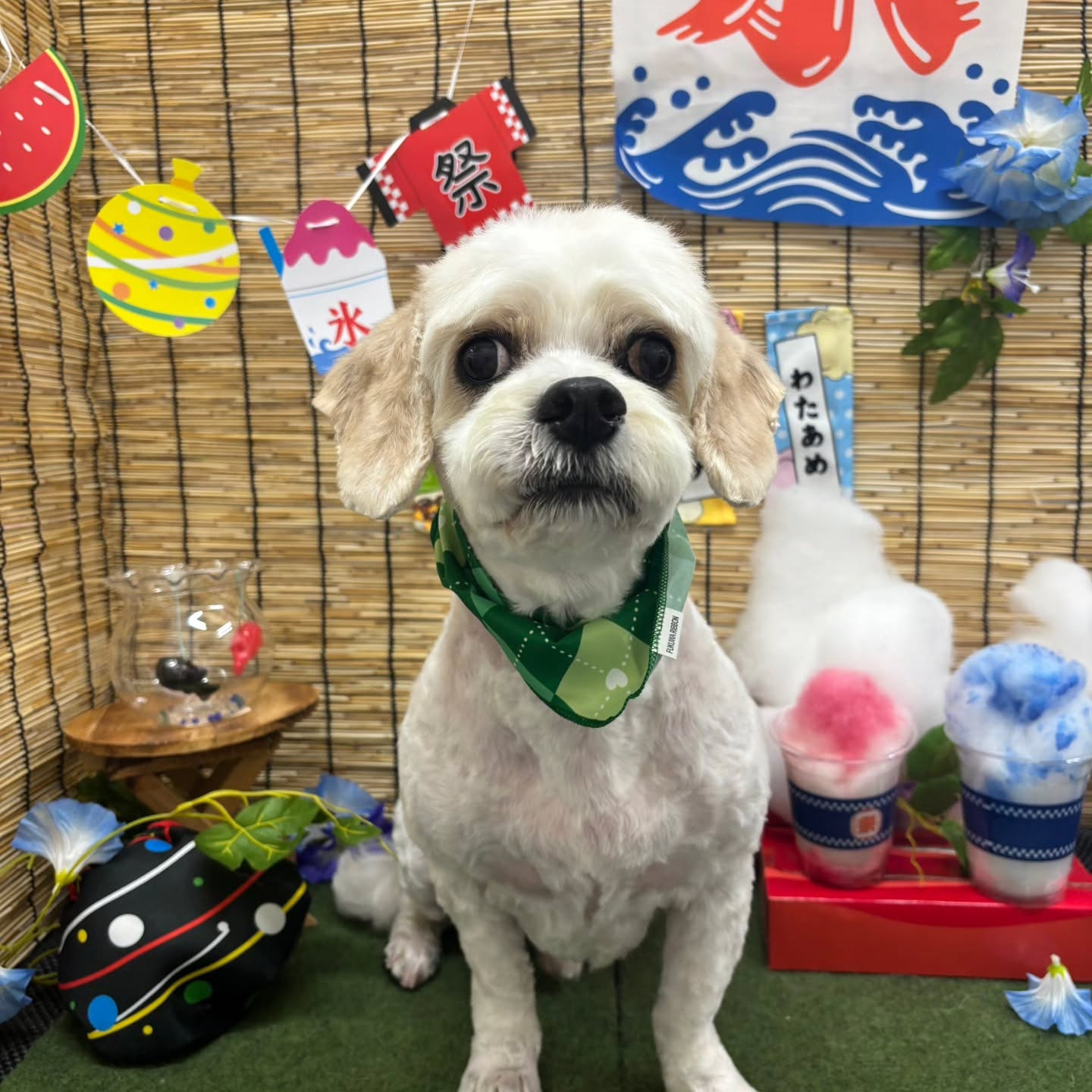 ๐ง๐ง๐ง๐ง๐ง๐ง๐ง