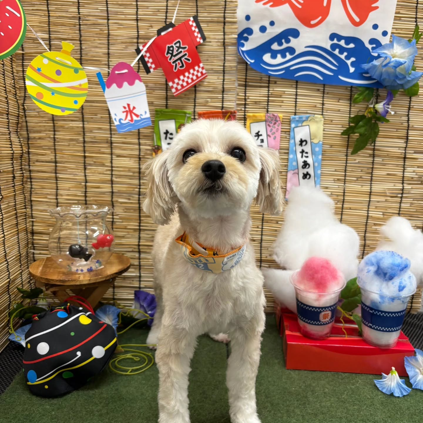 ๐ง๐ง๐ง๐ง๐ง๐ง๐ง