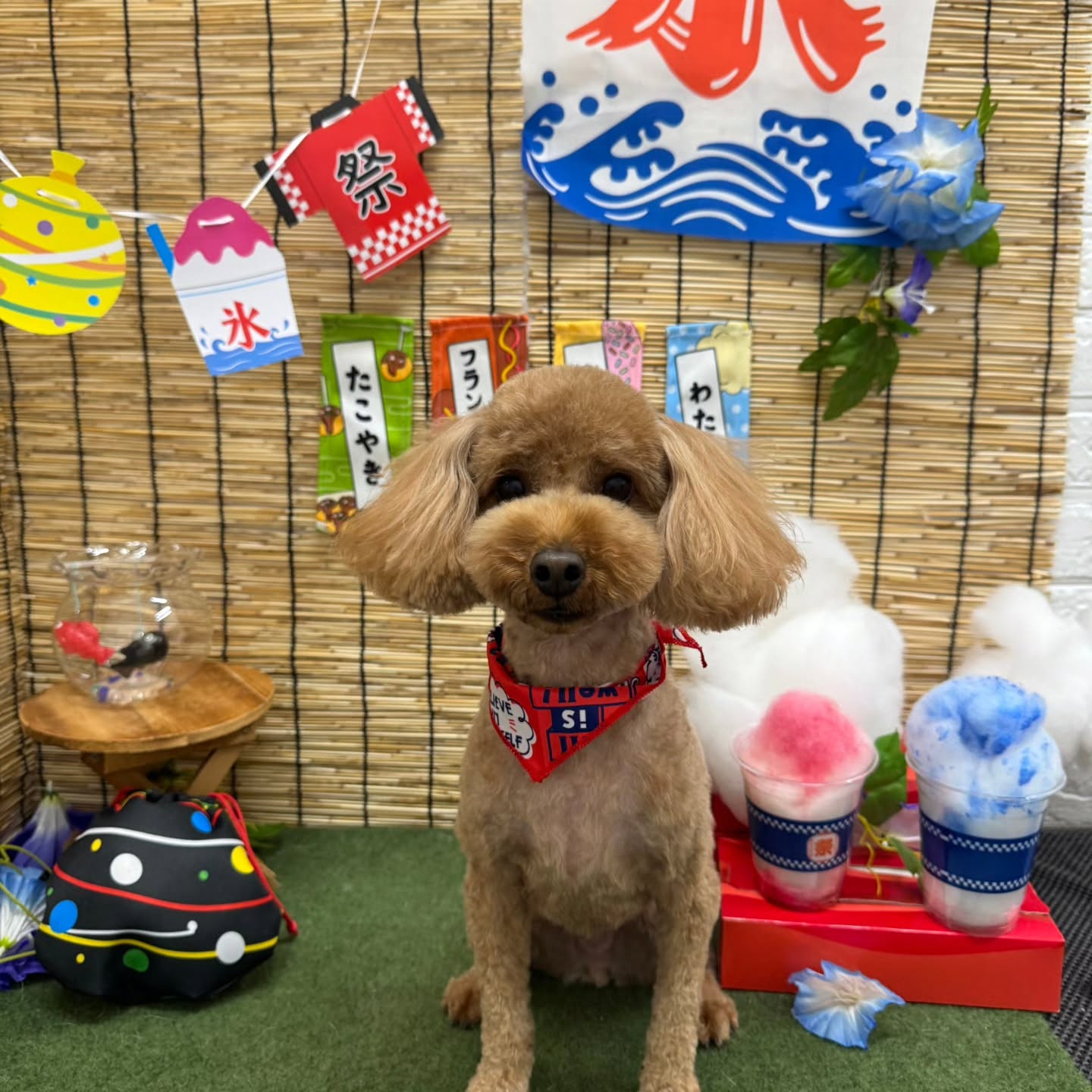 ๐ง๐ง๐ง๐ง๐ง๐ง๐ง