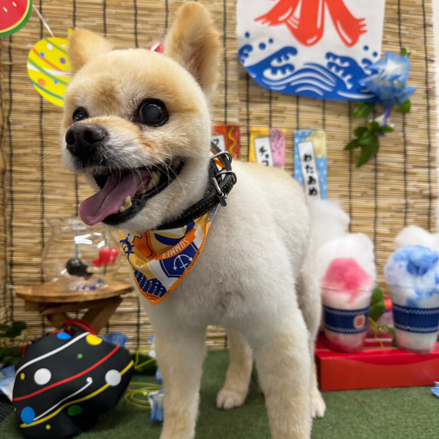 ๐ง๐ง๐ง๐ง๐ง๐ง๐ง