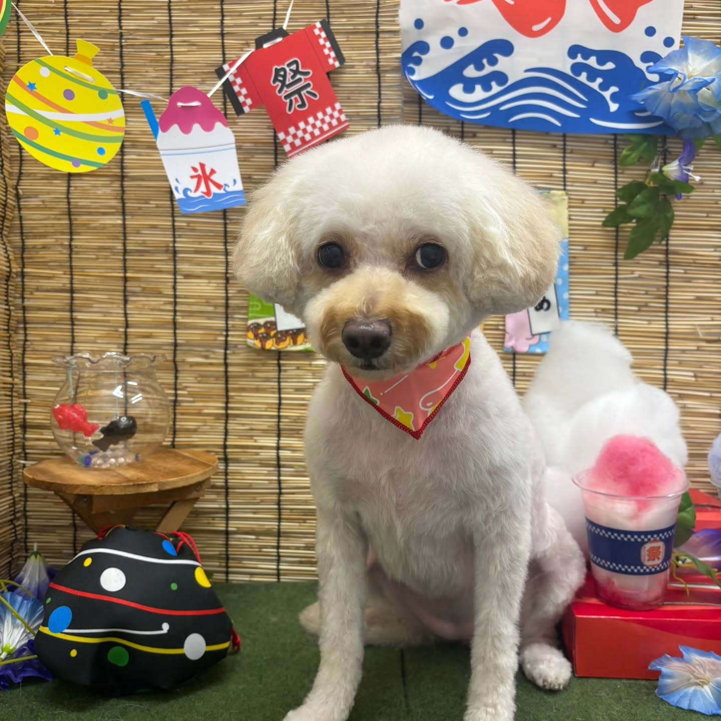 ๐ง๐ง๐ง๐ง๐ง๐ง๐ง