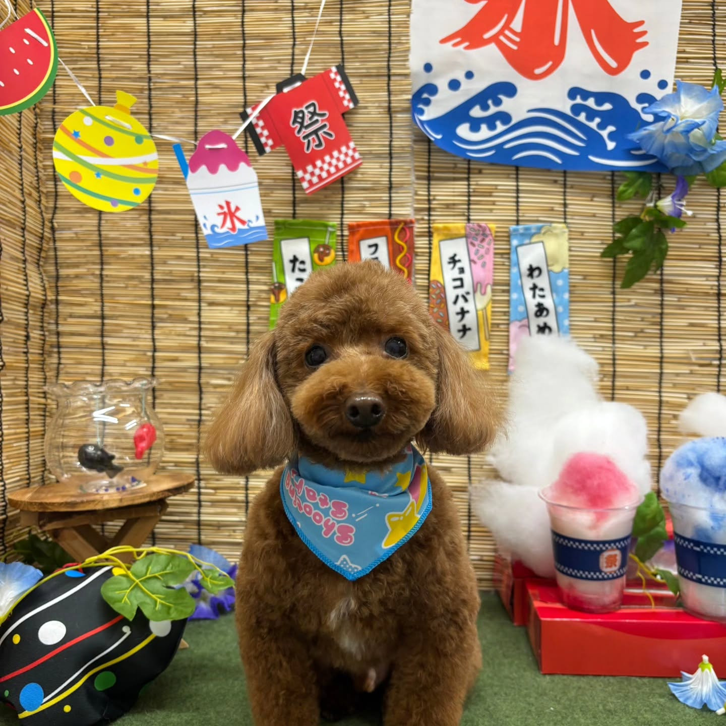 ๐ง๐ง๐ง๐ง๐ง๐ง๐ง๐ง๐ง๐ง๐ง๐ง