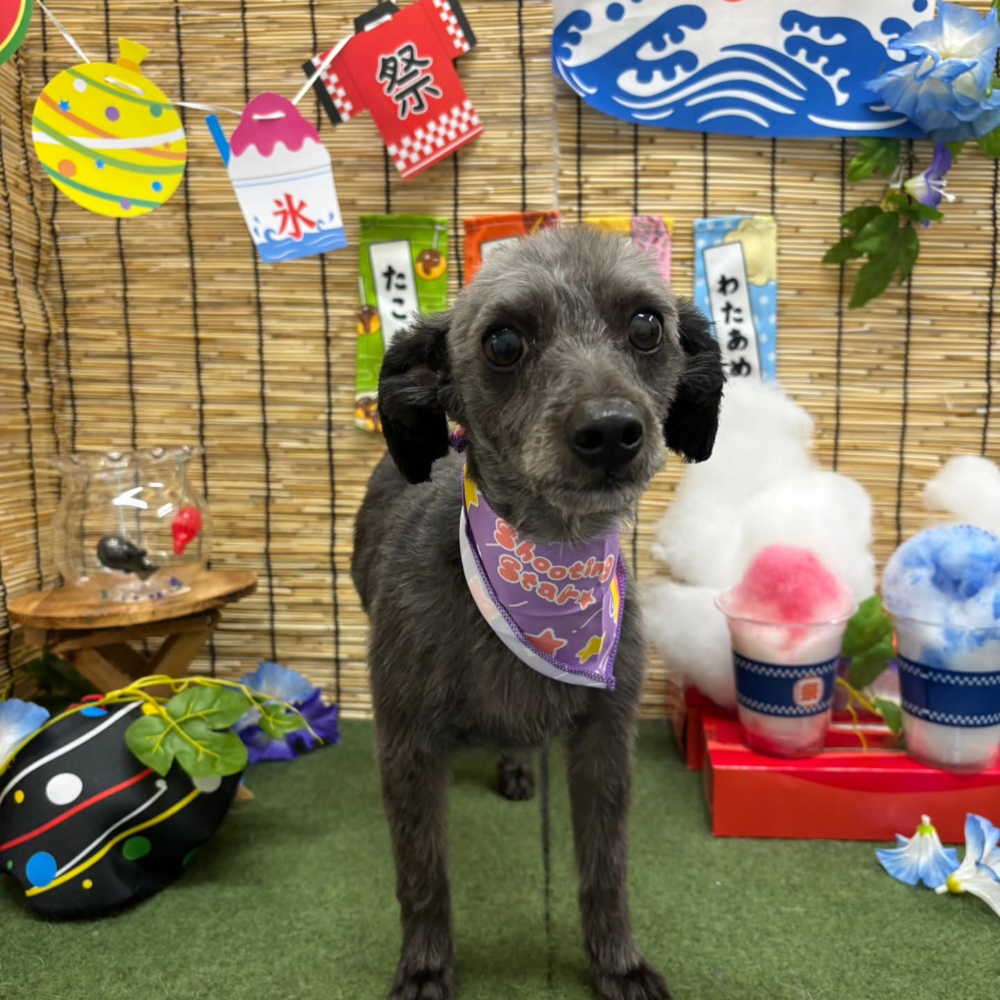 ๐ง๐ง๐ง๐ง๐ง๐ง๐ง๐ง๐ง๐ง๐ง๐ง