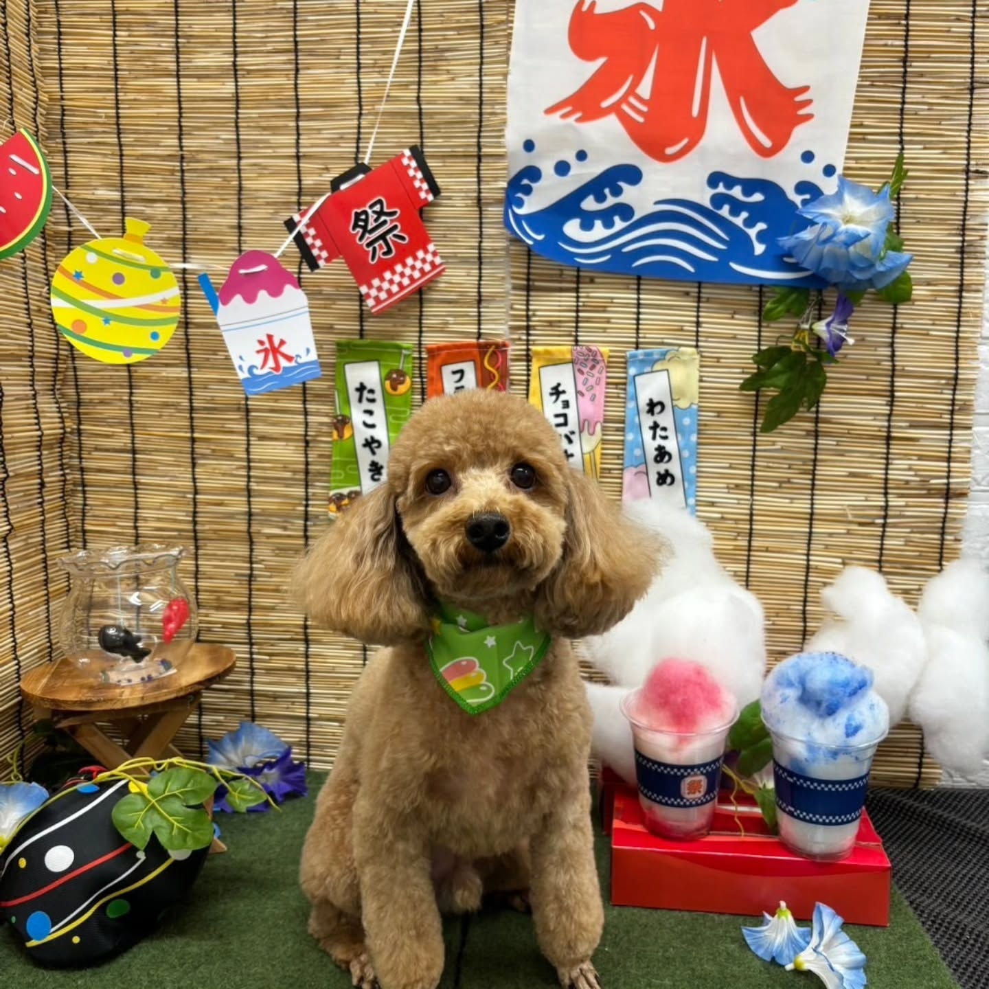 ๐ง๐ง๐ง๐ง๐ง๐ง๐ง๐ง๐ง๐ง๐ง๐ง