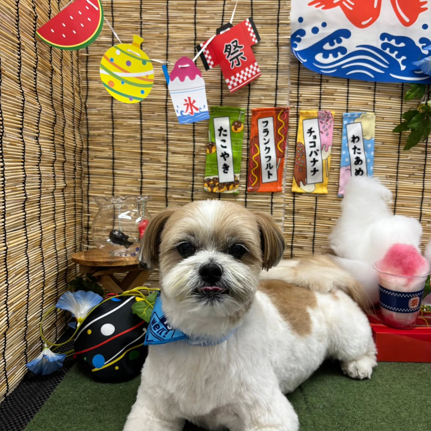 ๐ง๐ง๐ง๐ง๐ง๐ง๐ง๐ง๐ง๐ง๐ง๐ง