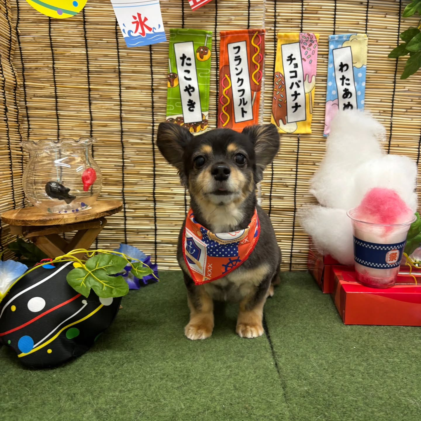 ๐ง๐ง๐ง๐ง๐ง๐ง๐ง๐ง๐ง๐ง๐ง๐ง