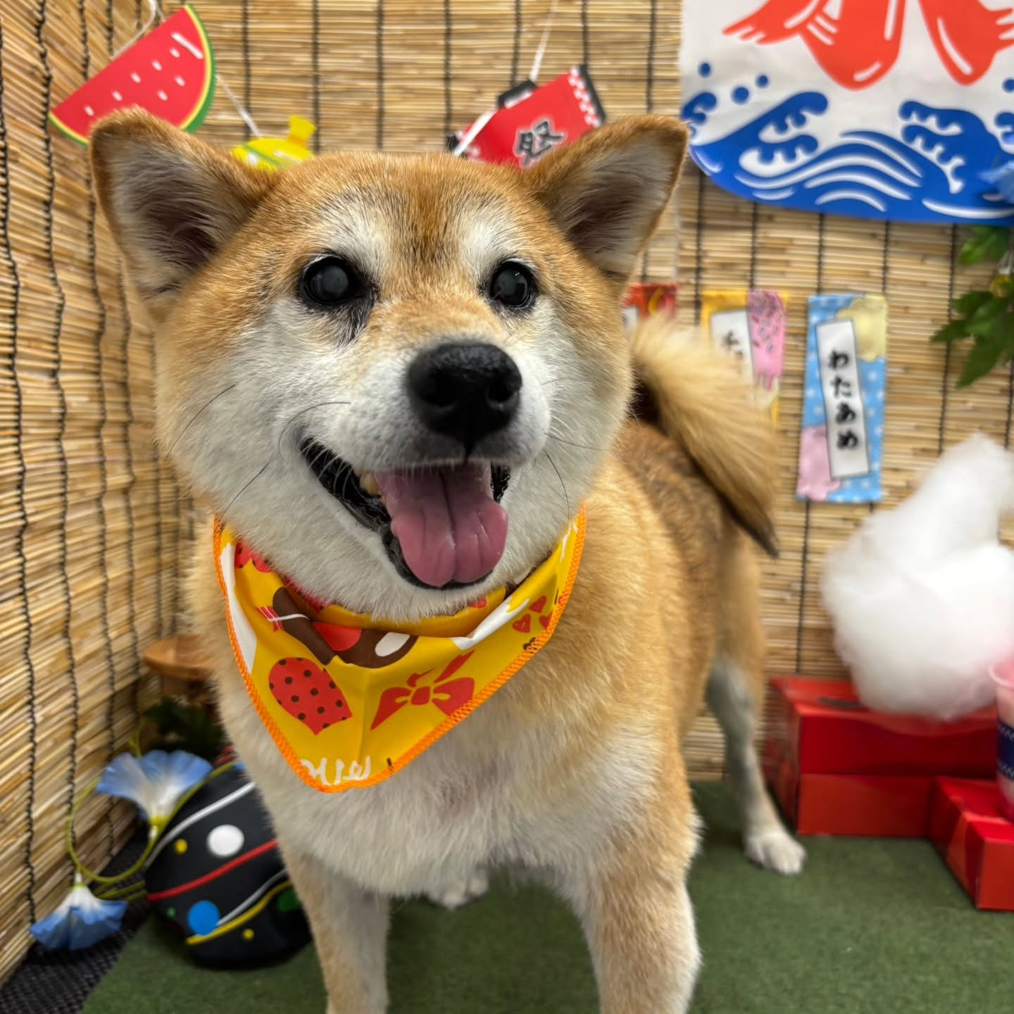 ๐ง๐ง๐ง๐ง๐ง๐ง๐ง๐ง๐ง๐ง๐ง๐ง