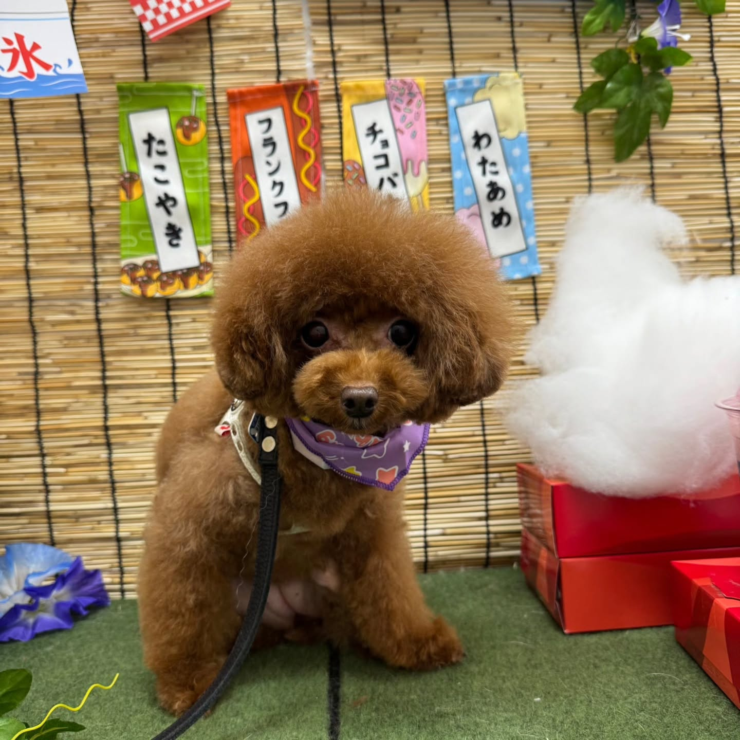 ๐ง๐ง๐ง๐ง๐ง๐ง๐ง๐ง๐ง๐ง๐ง๐ง