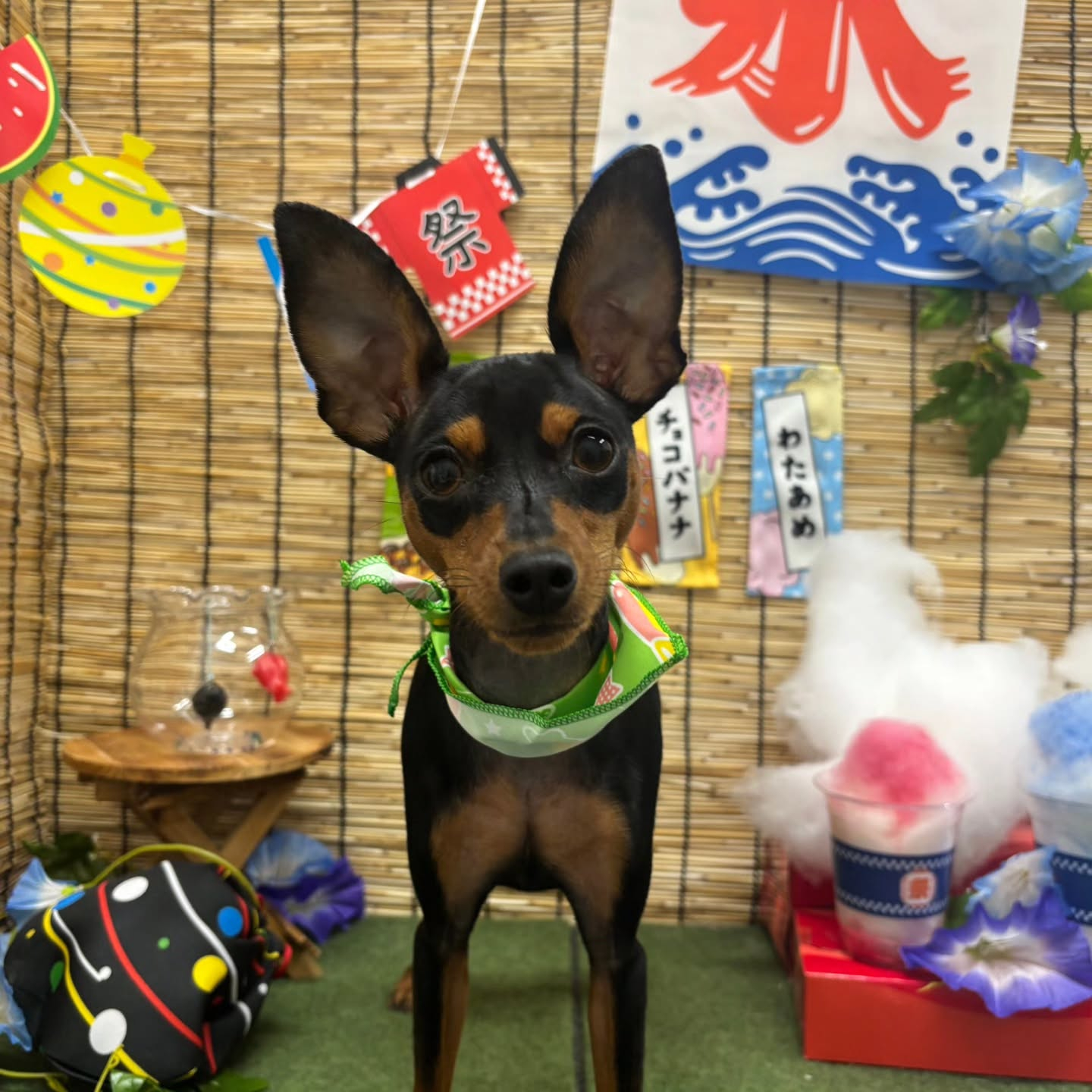 🍧🍧🍧🍧🍧🍧🍧🍧🍧