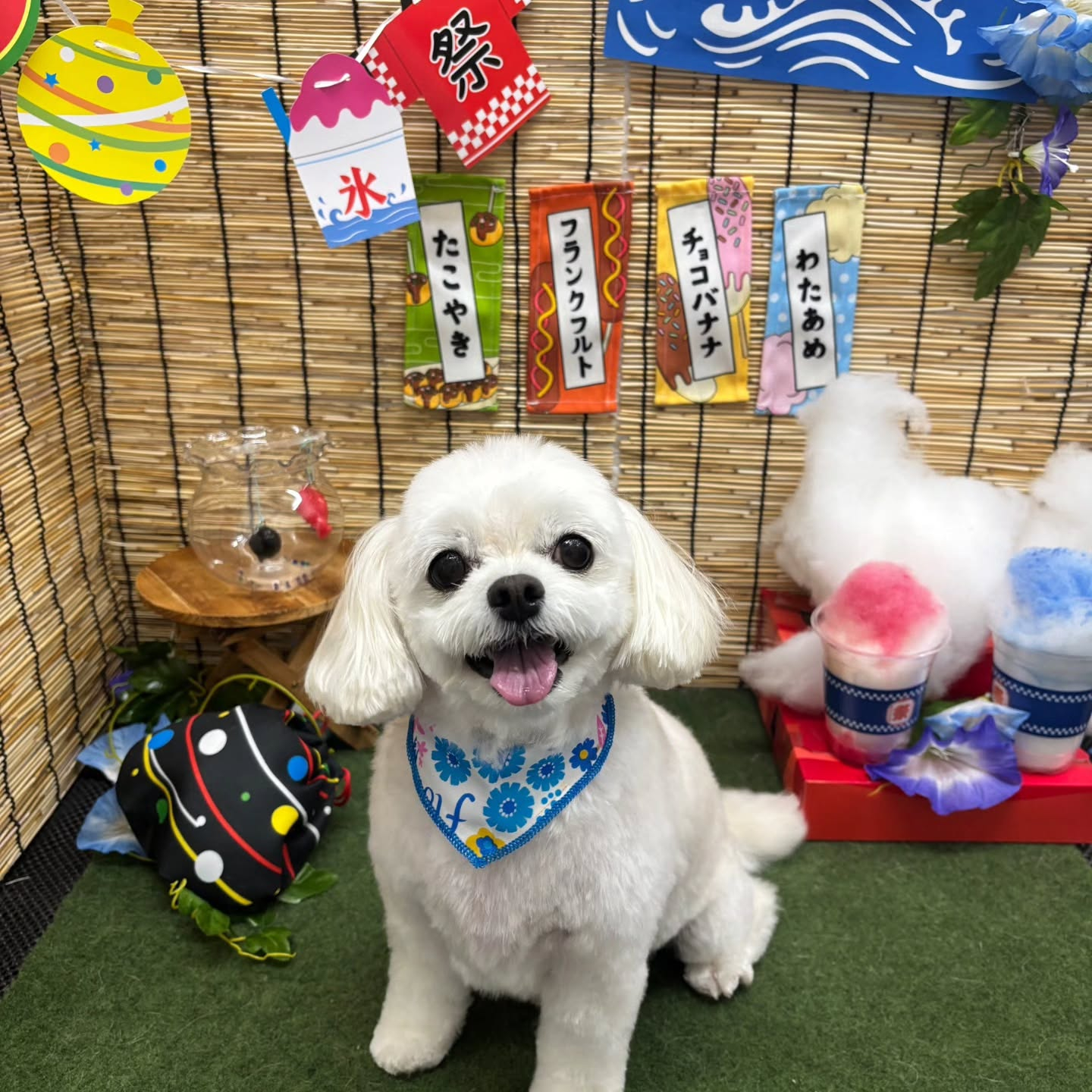 ๐ง๐ง๐ง๐ง๐ง๐ง๐ง๐ง