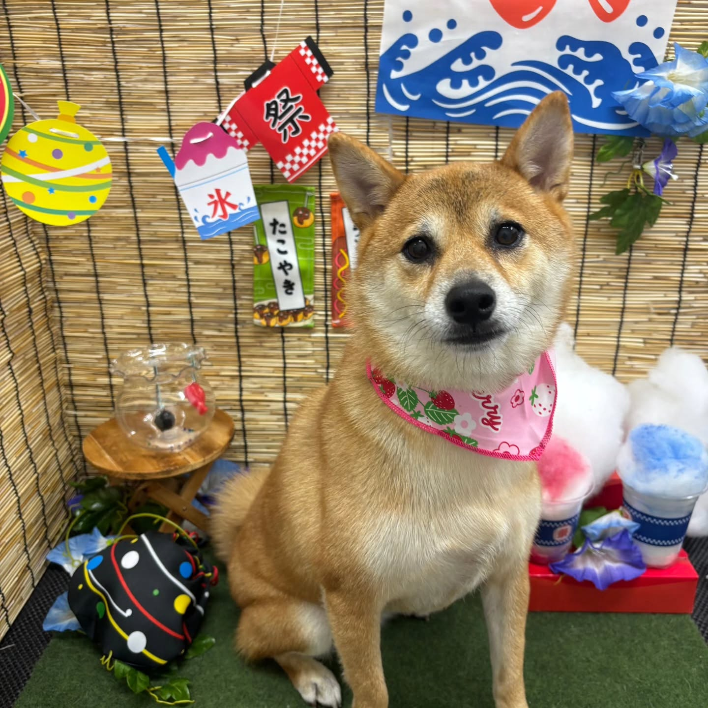 ๐ง๐ง๐ง๐ง๐ง๐ง๐ง๐ง