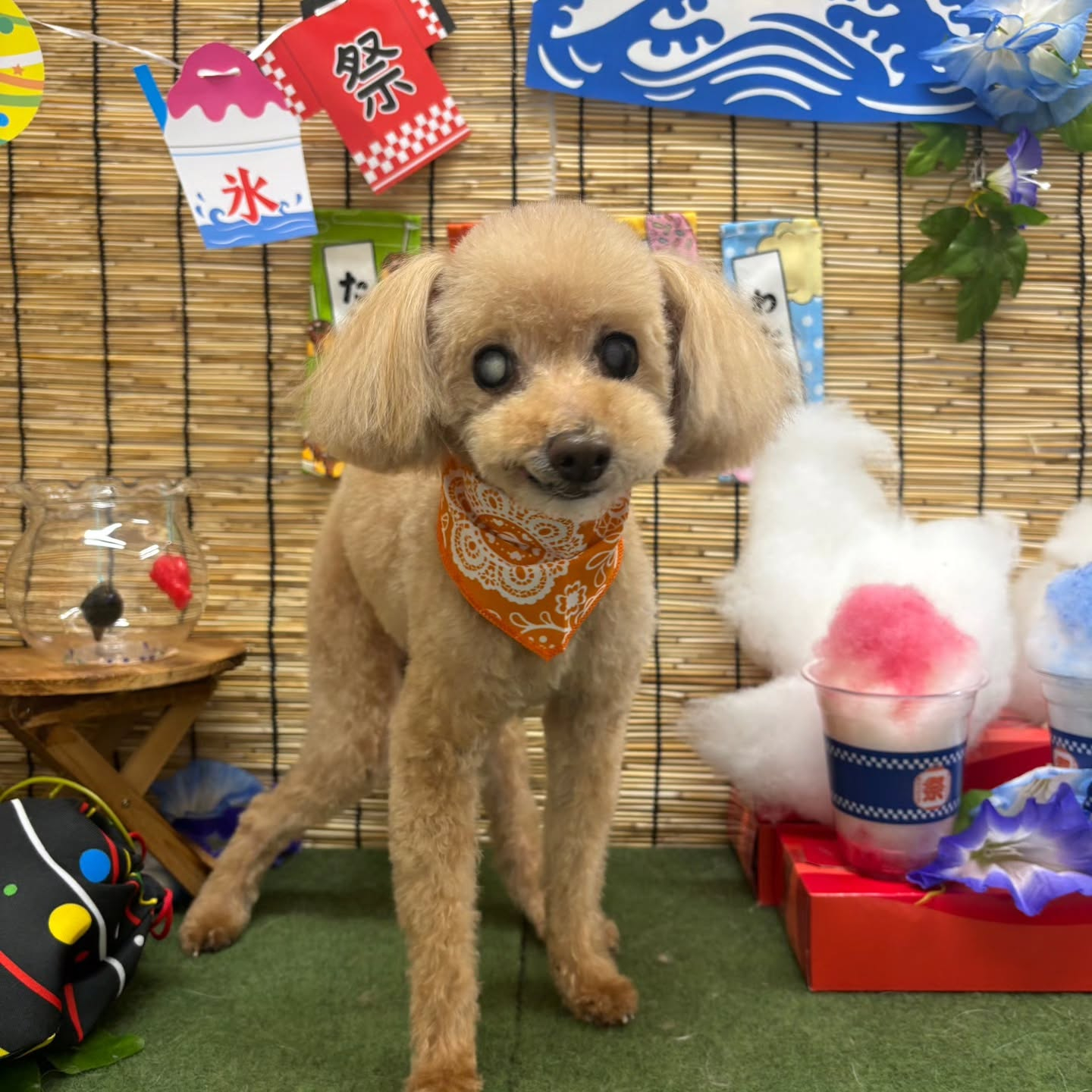 ๐ง๐ง๐ง๐ง๐ง๐ง๐ง๐ง