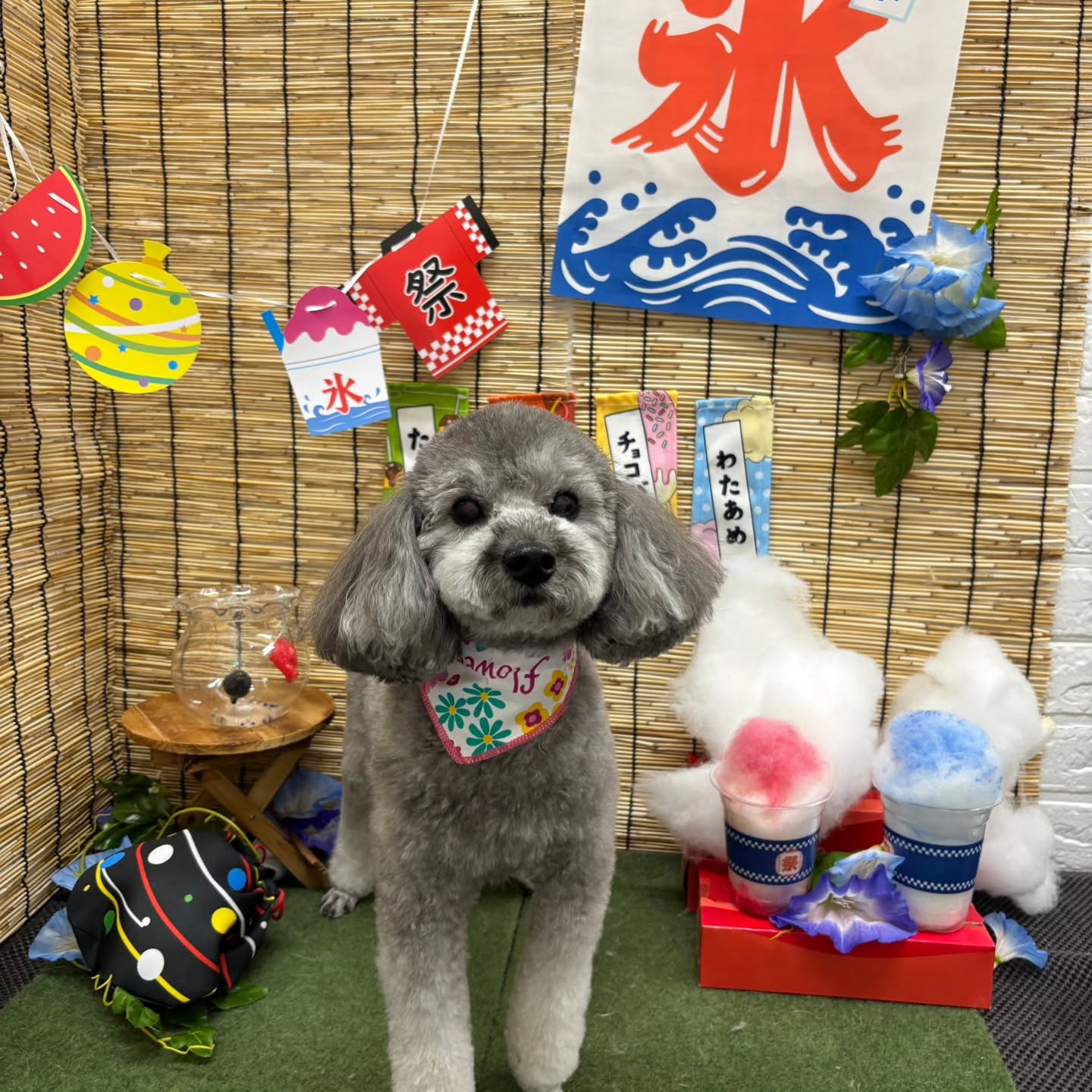 ๐ง๐ง๐ง๐ง๐ง๐ง๐ง๐ง