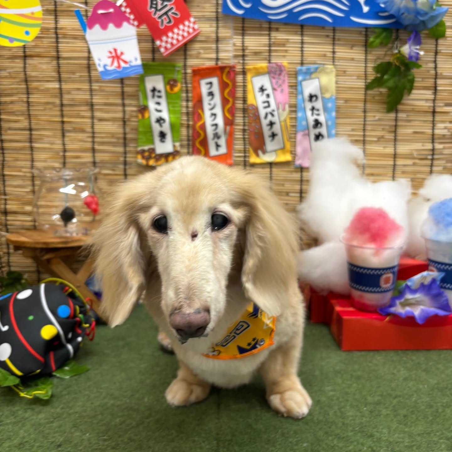 ๐ง๐ง๐ง๐ง๐ง๐ง๐ง๐ง