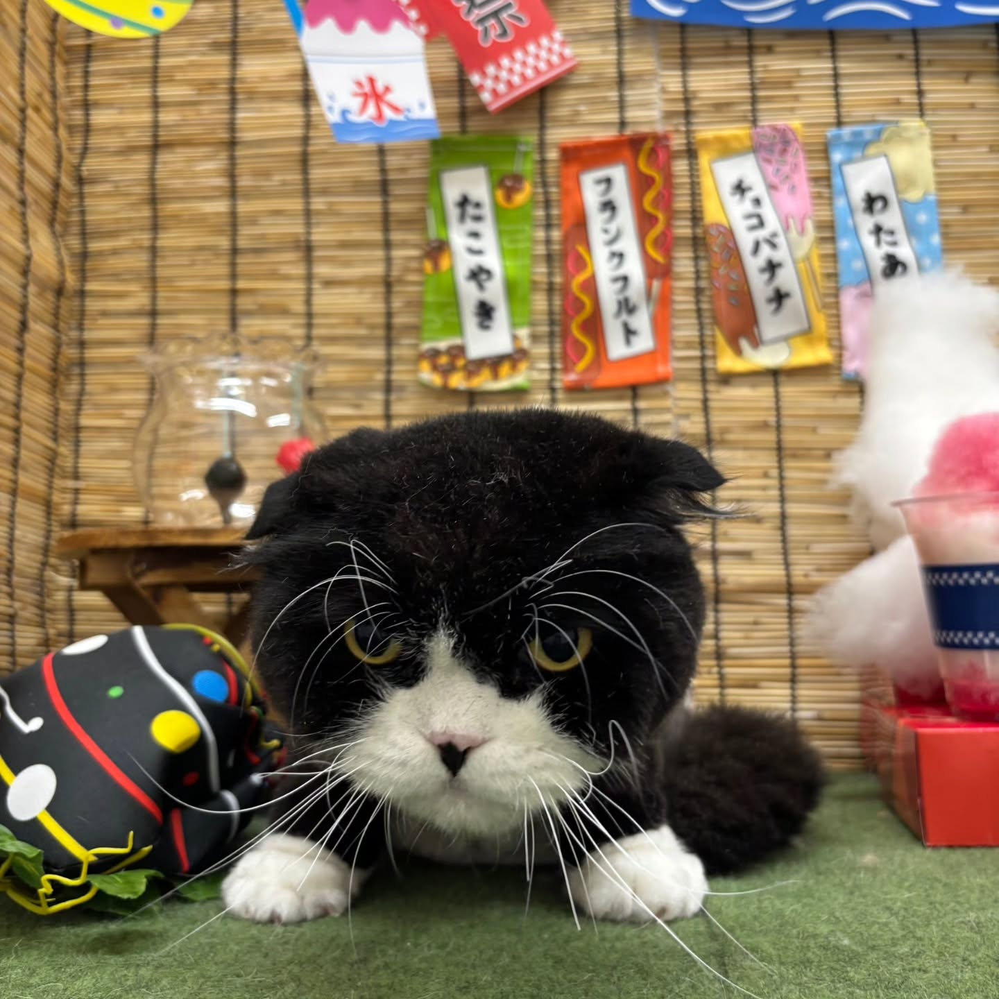 ๐ง๐ง๐ง๐ง๐ง๐ง๐ง๐ง