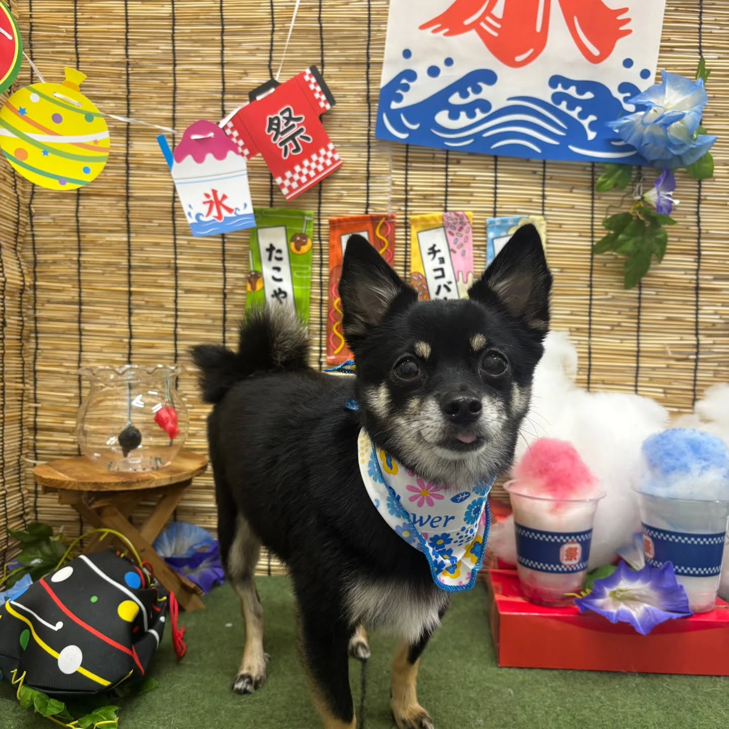 ๐ง๐ง๐ง๐ง๐ง๐ง๐ง๐ง๐ง๐ง