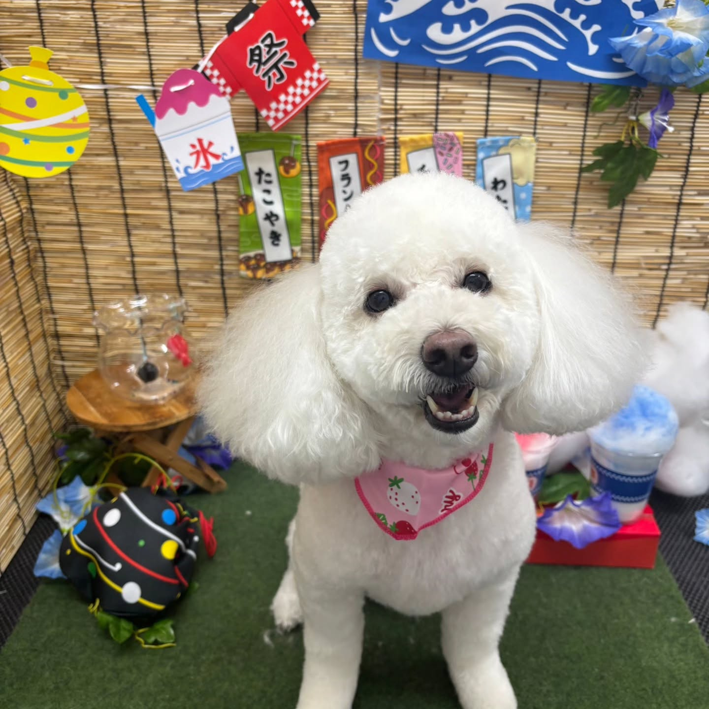 ๐ง๐ง๐ง๐ง๐ง๐ง๐ง๐ง๐ง๐ง