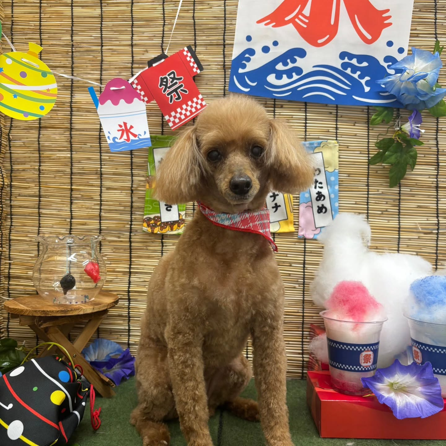 ๐ง๐ง๐ง๐ง๐ง๐ง๐ง๐ง๐ง๐ง