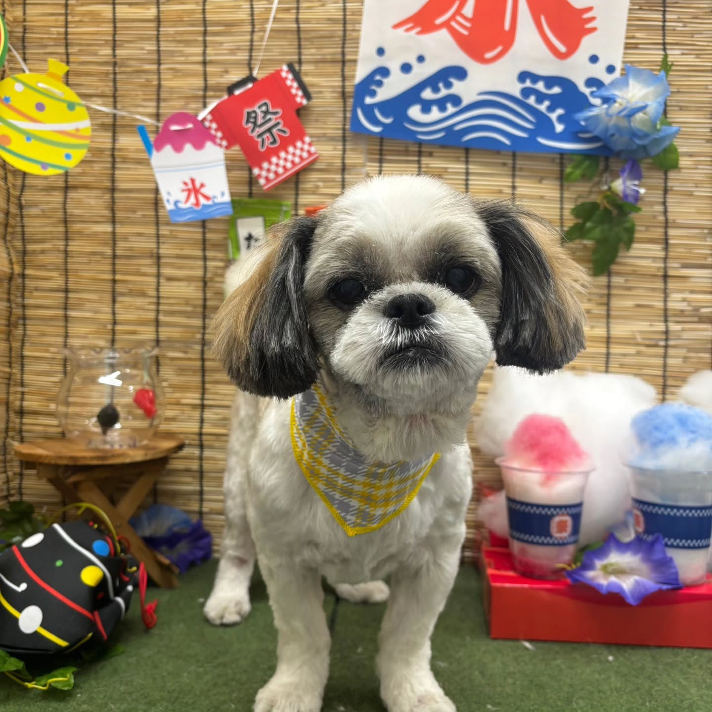 ๐ง๐ง๐ง๐ง๐ง๐ง๐ง๐ง๐ง๐ง