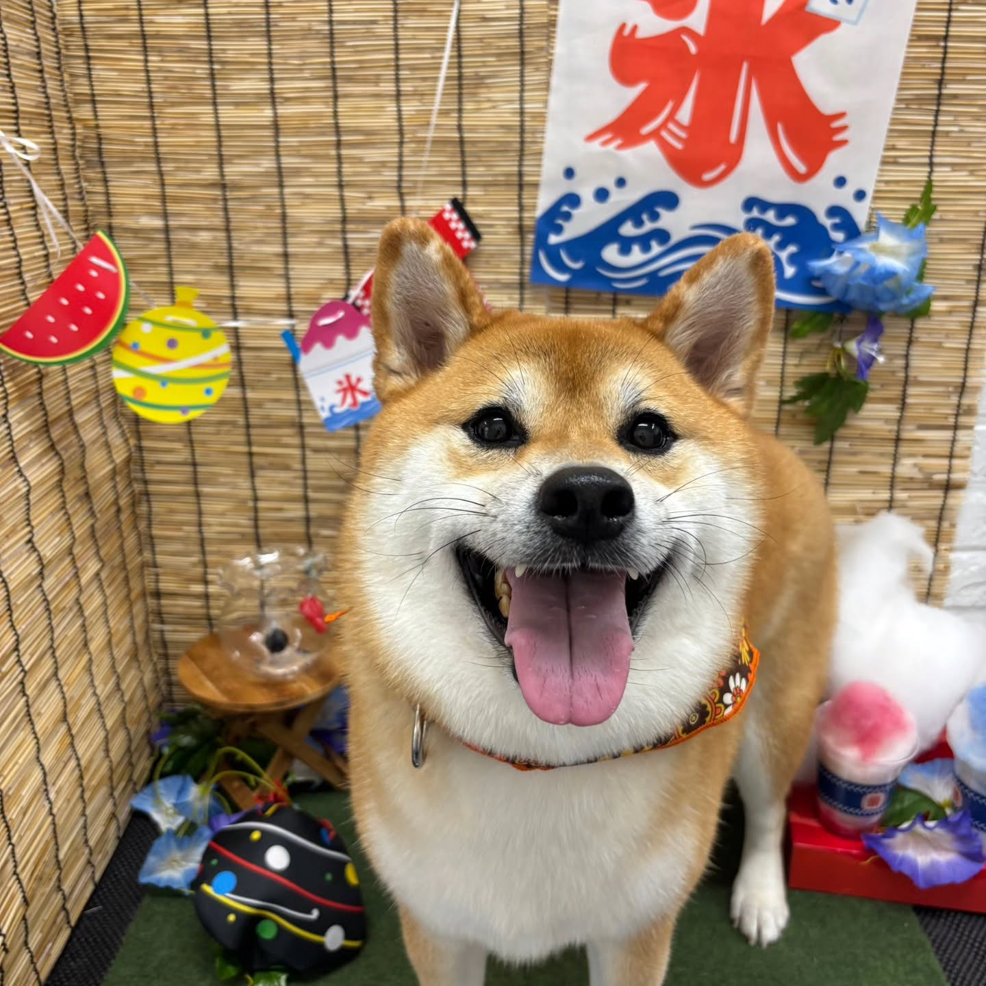 ๐ง๐ง๐ง๐ง๐ง๐ง๐ง๐ง๐ง๐ง