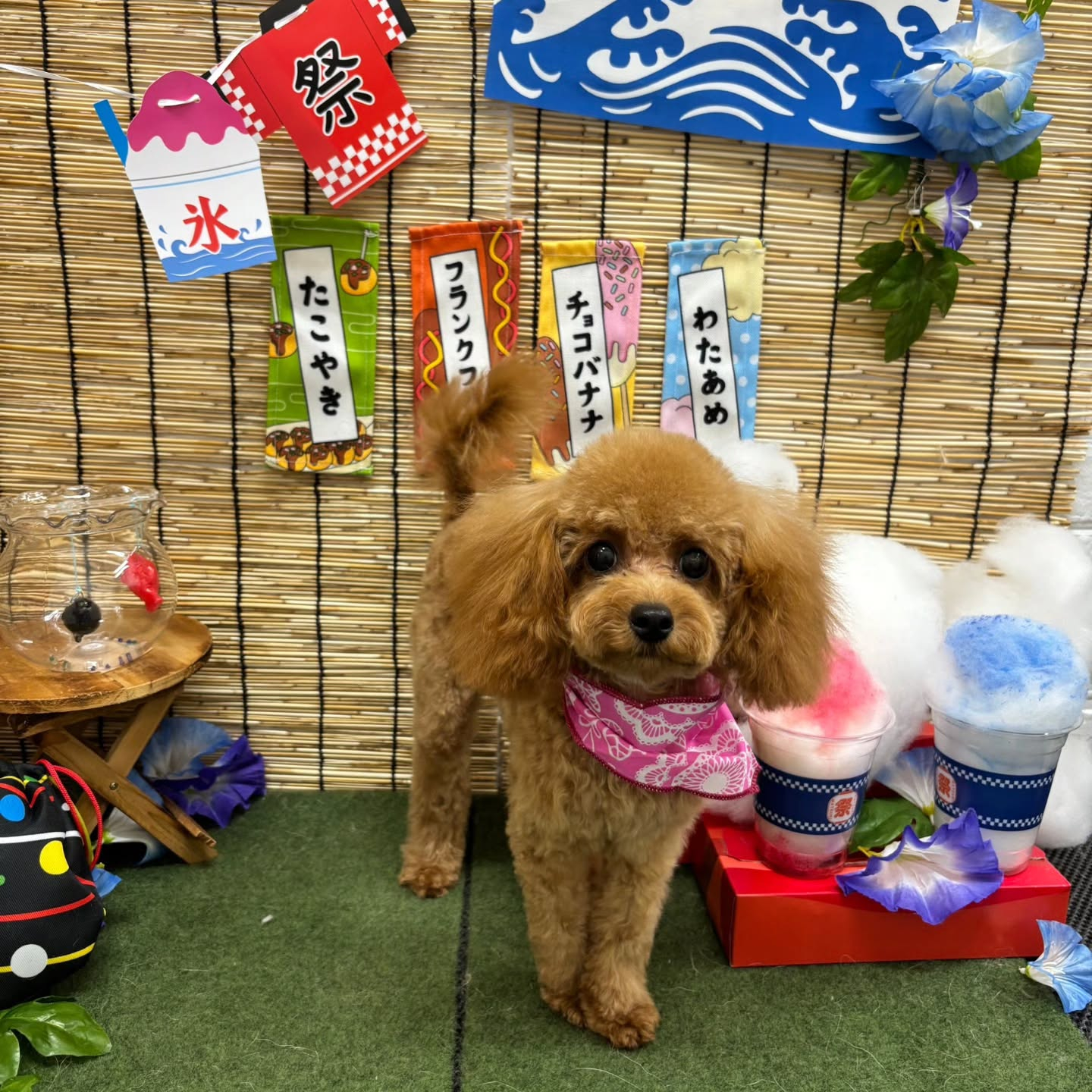 🍧🍧🍧🍧🍧🍧🍧🍧🍧