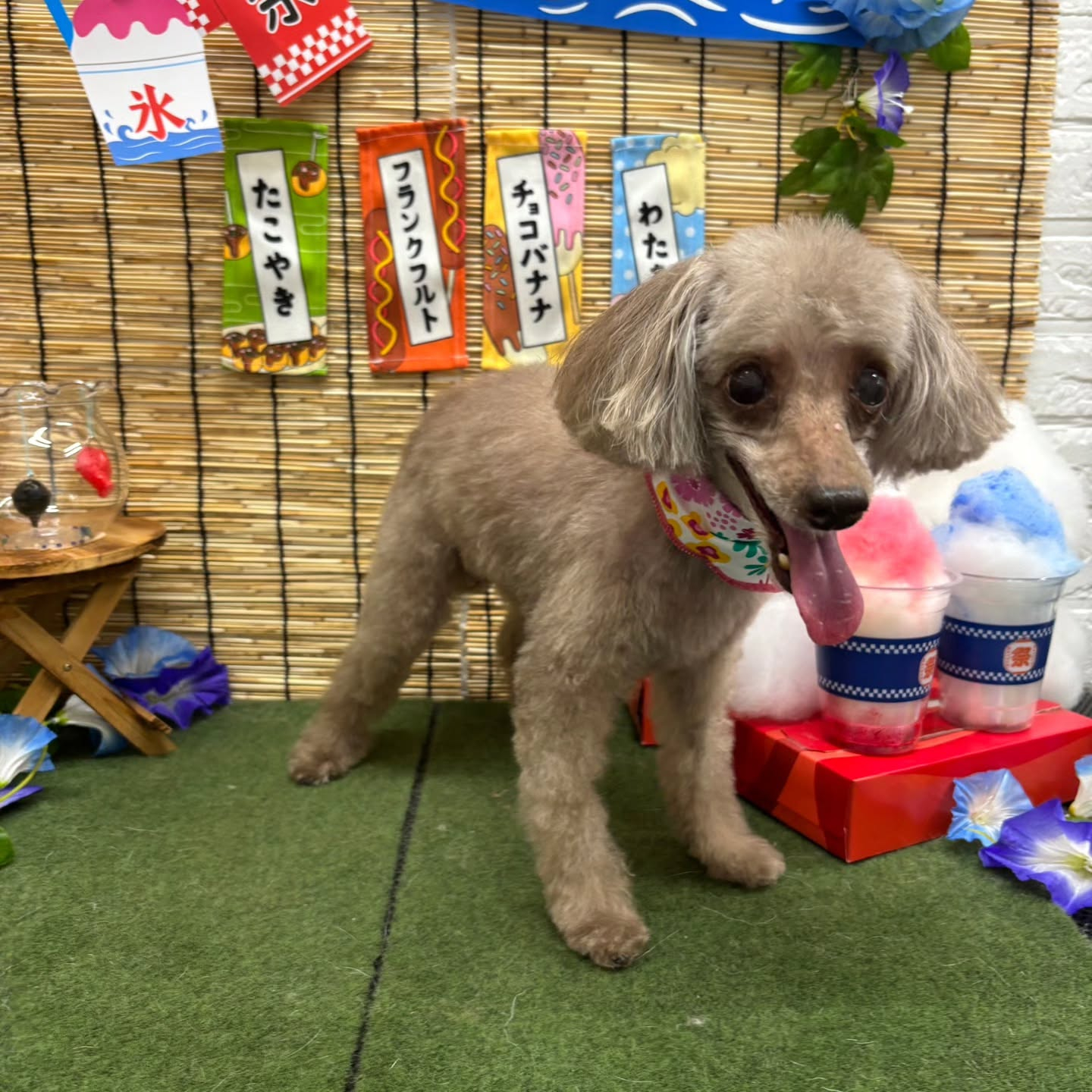 🍧🍧🍧🍧🍧🍧🍧🍧🍧