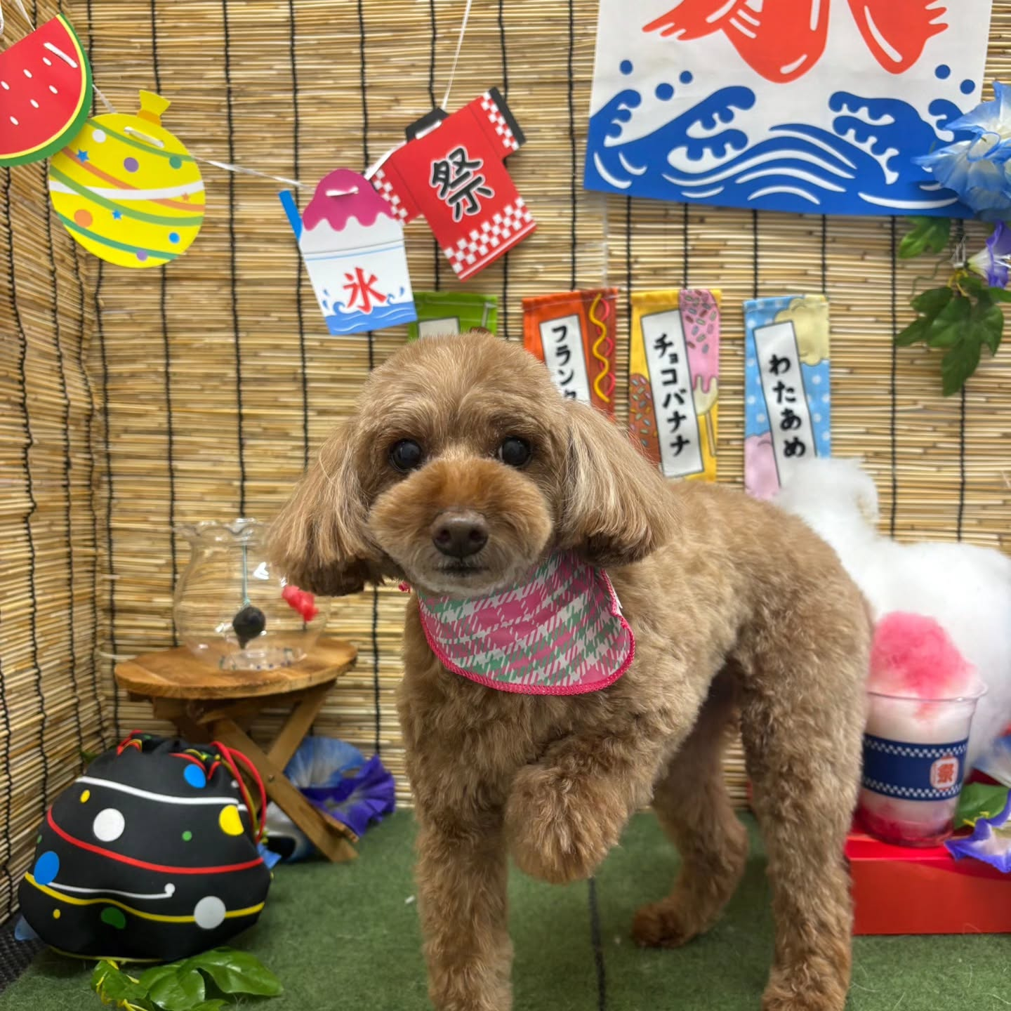 🍧🍧🍧🍧🍧🍧🍧🍧🍧