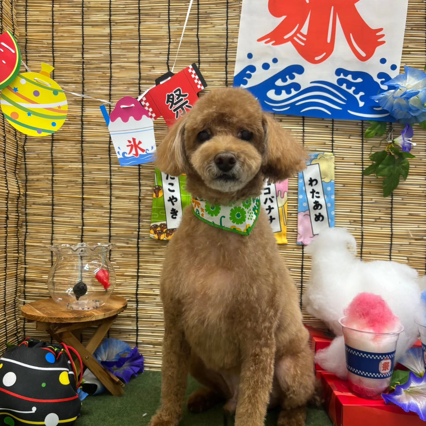 🍧🍧🍧🍧🍧🍧🍧🍧🍧