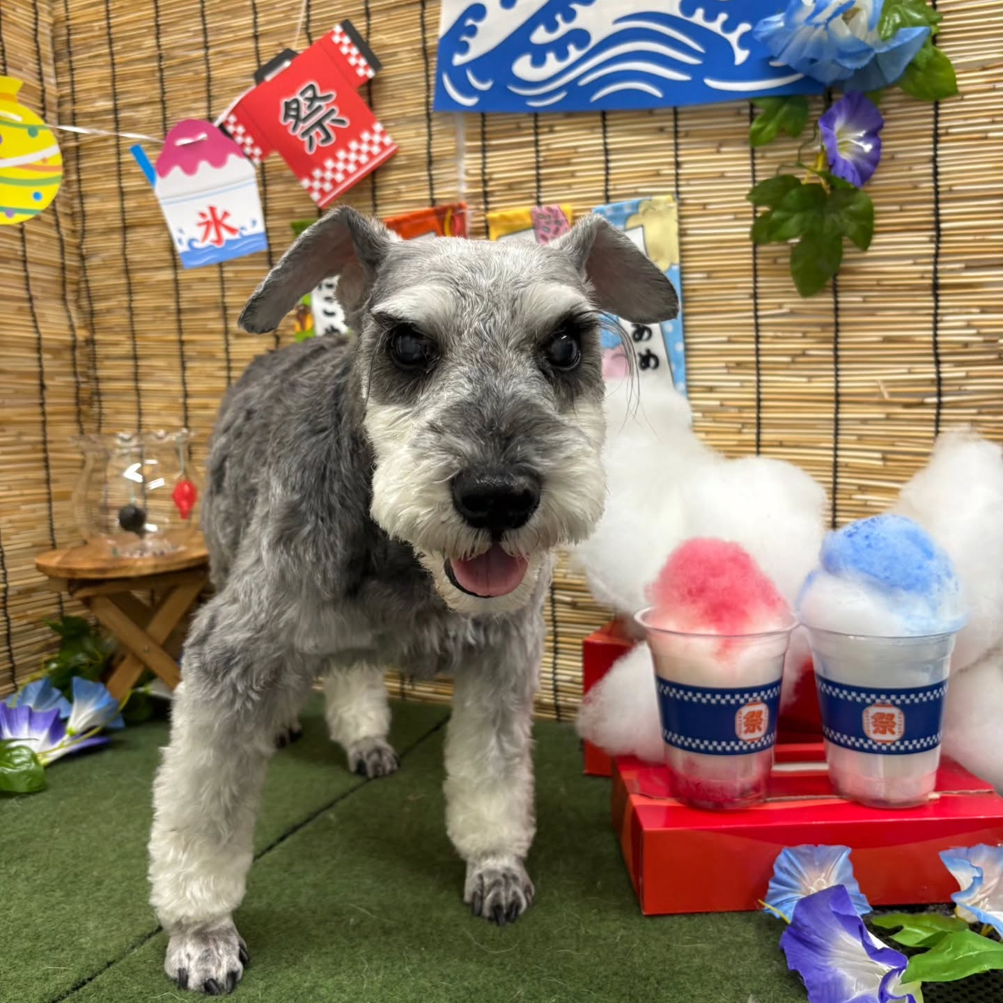 🍧🍧🍧🍧🍧🍧🍧🍧🍧