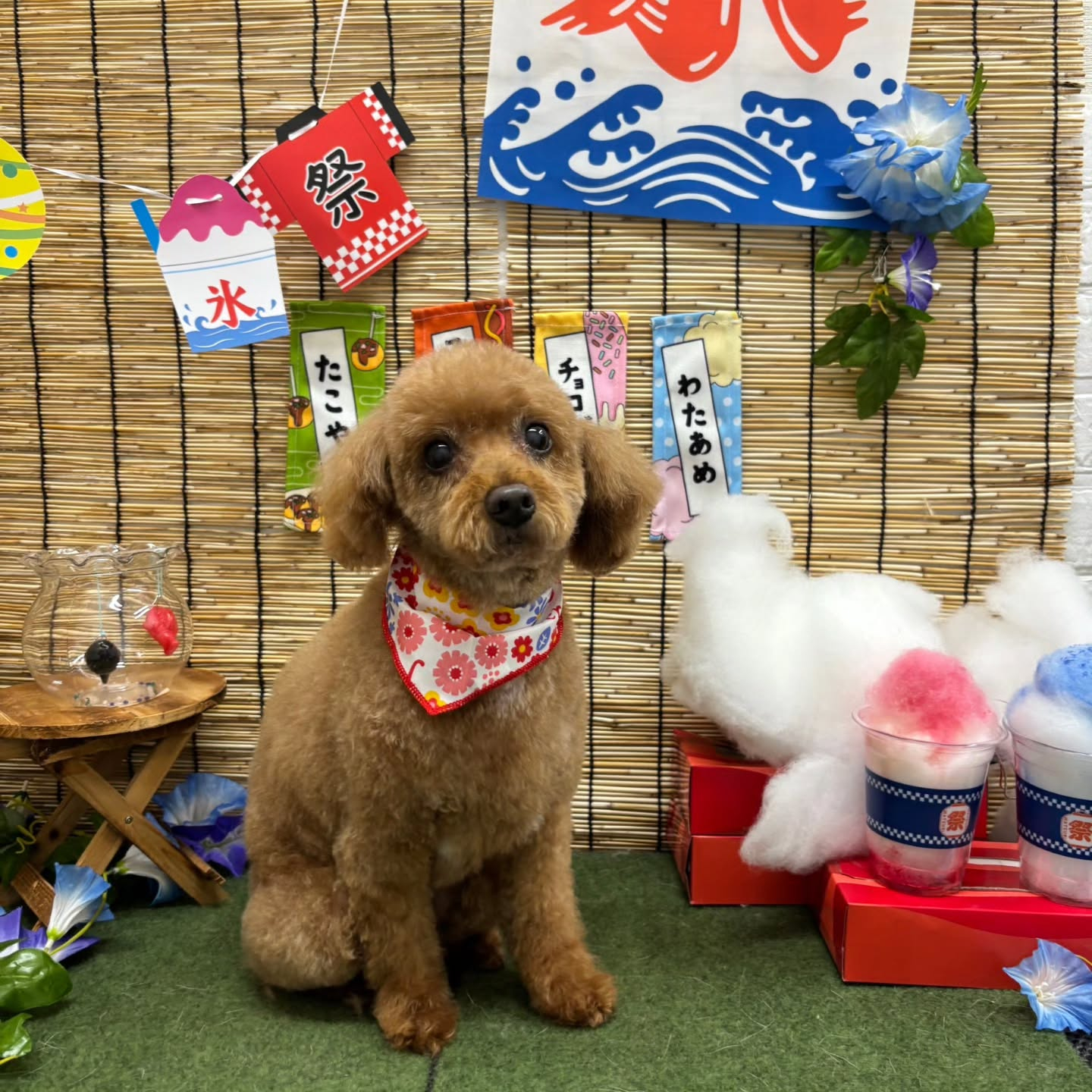 🍧🍧🍧🍧🍧🍧🍧🍧🍧