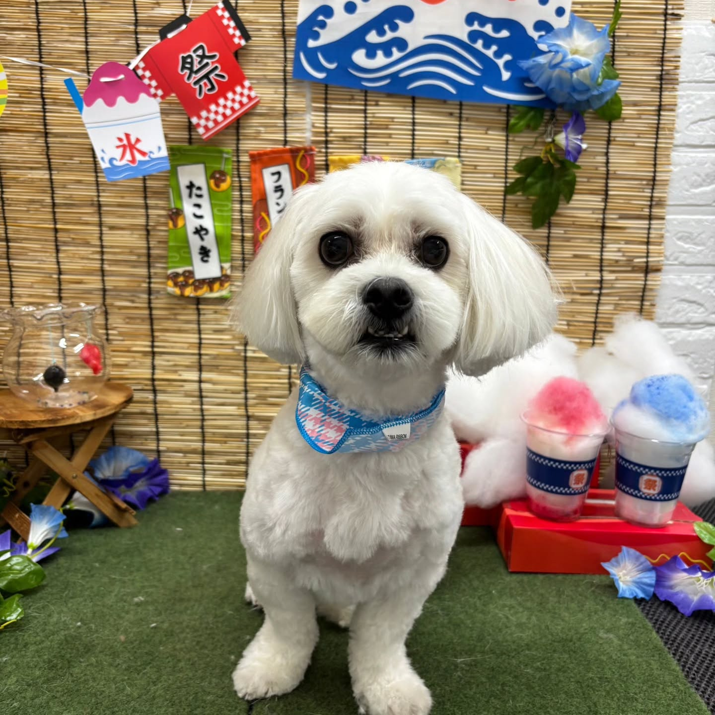 🍧🍧🍧🍧🍧🍧🍧🍧🍧