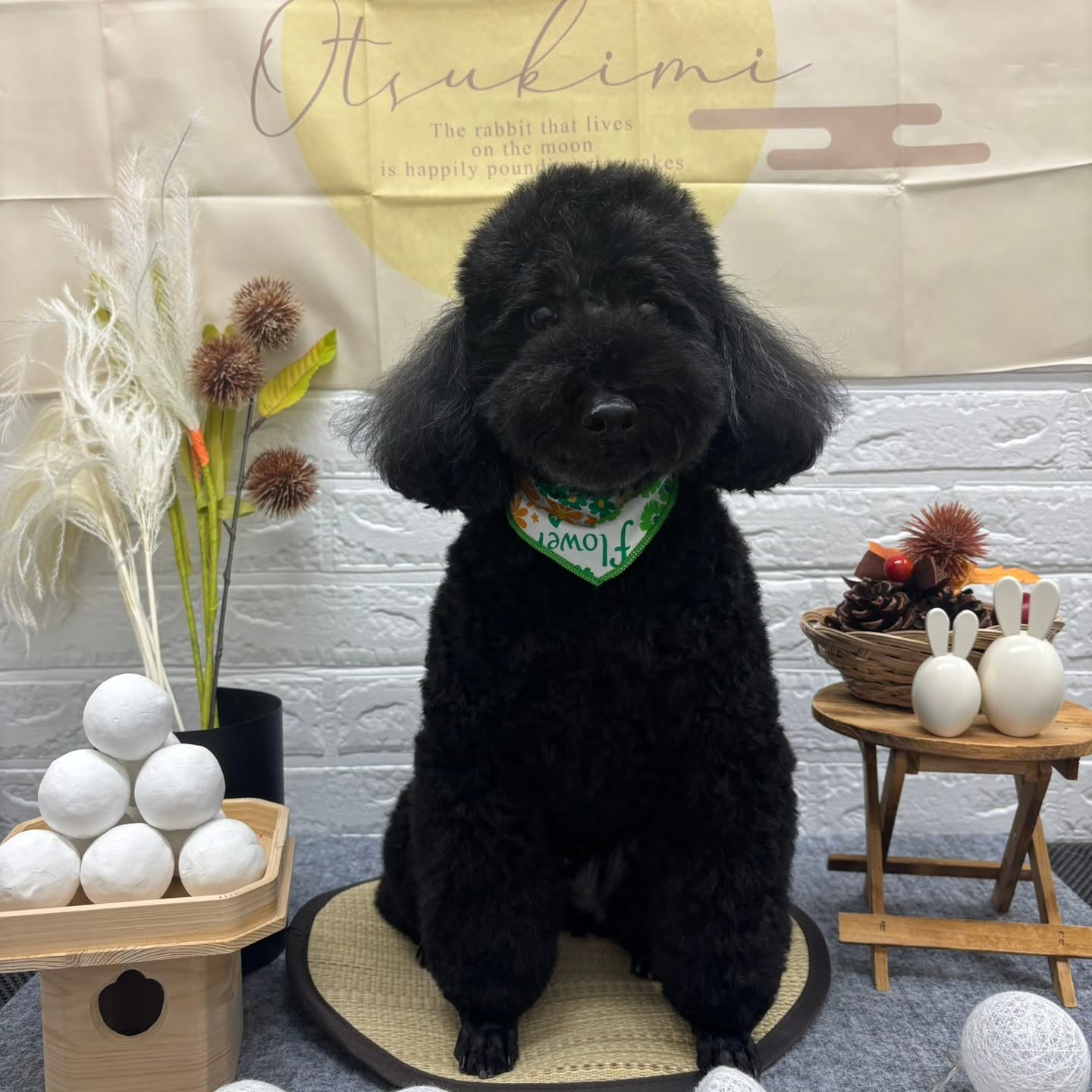 🌾🌾🌾🌾🌾🌾