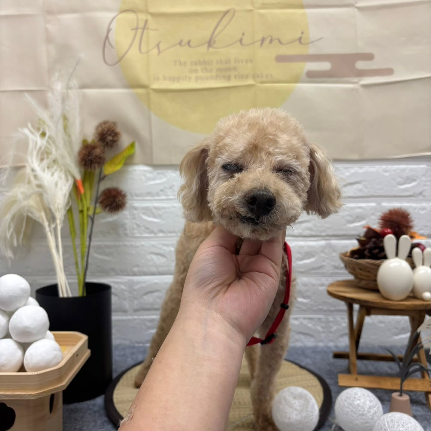 🌾🌾🌾🌾🌾🌾