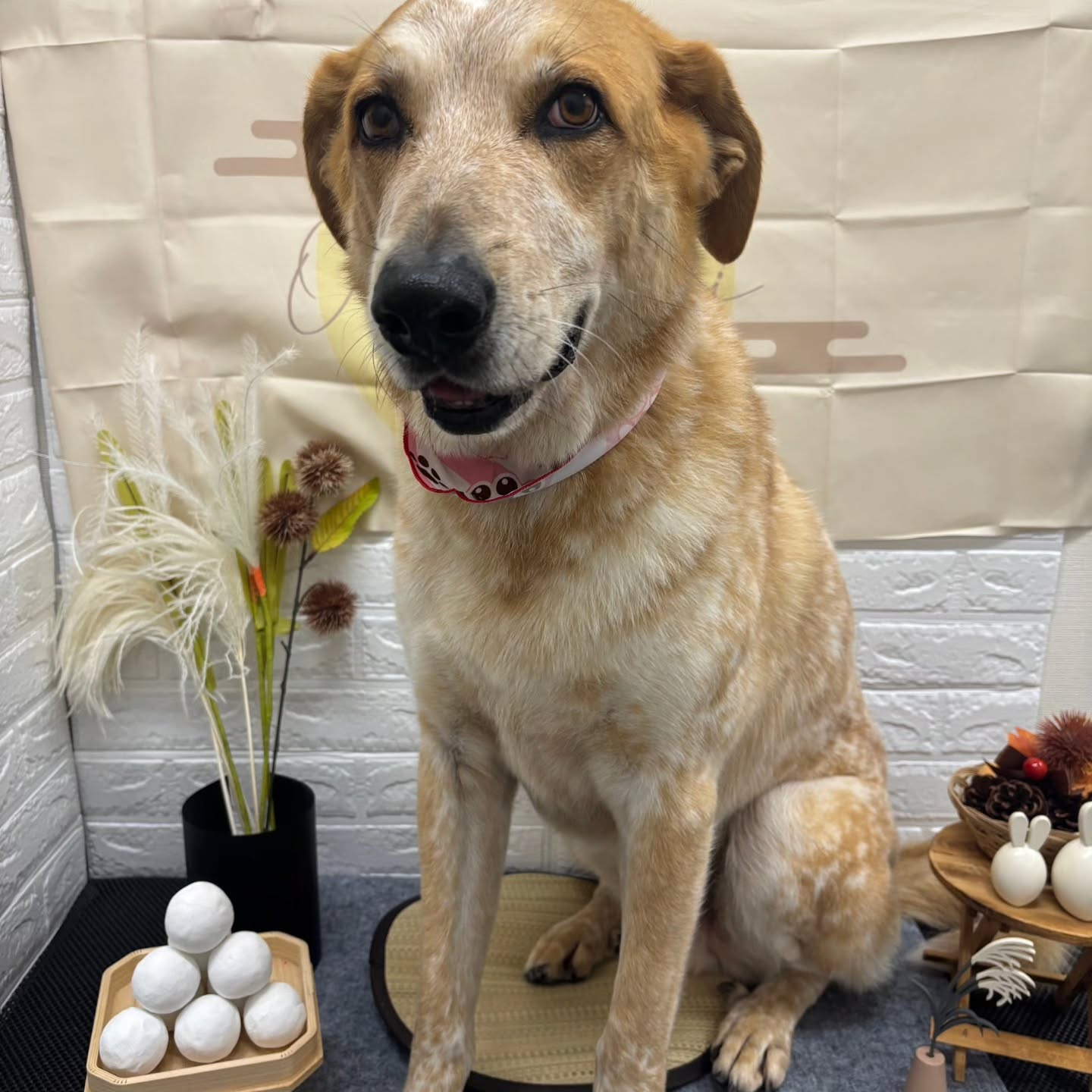 🌝🌝🌝🌝🌝🌝🌝