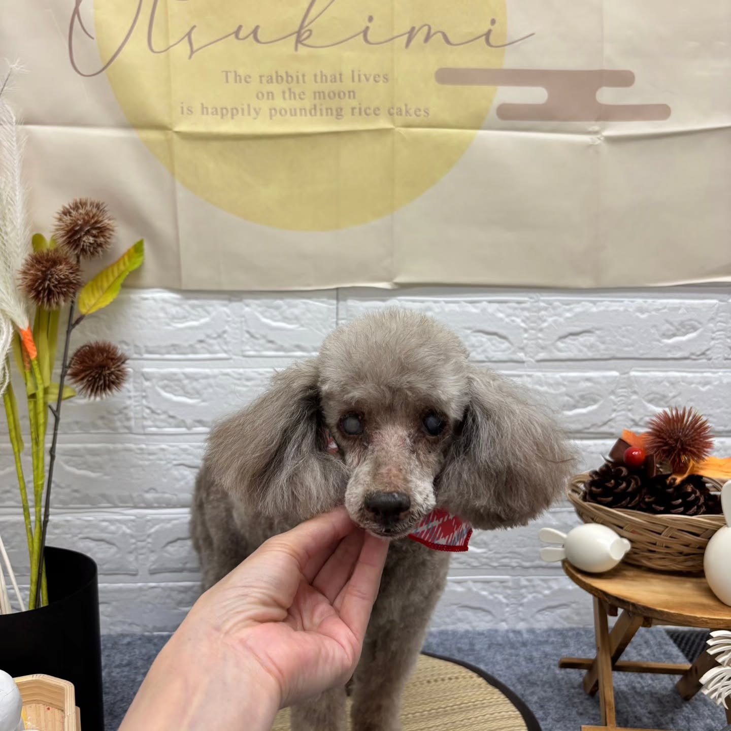 🌝🌝🌝🌝🌝🌝🌝