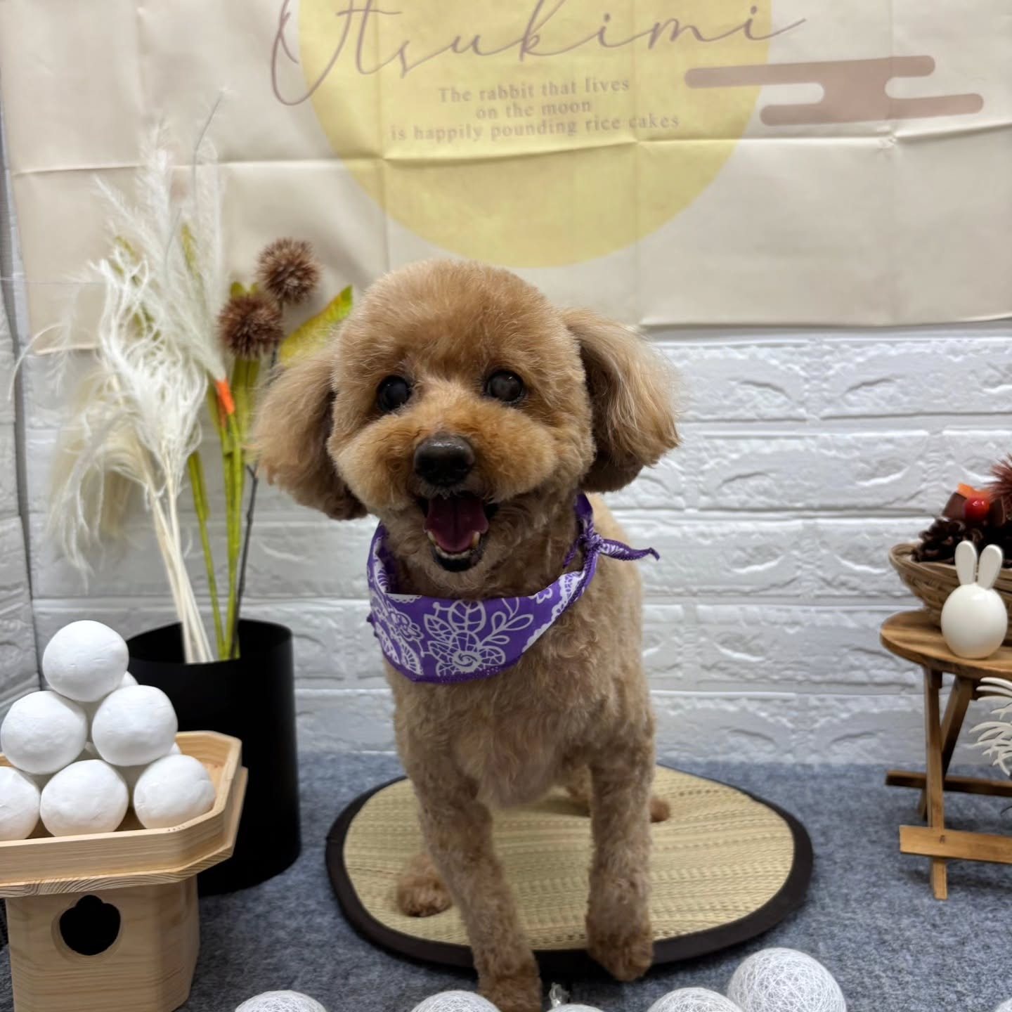 🌝🌝🌝🌝🌝🌝🌝