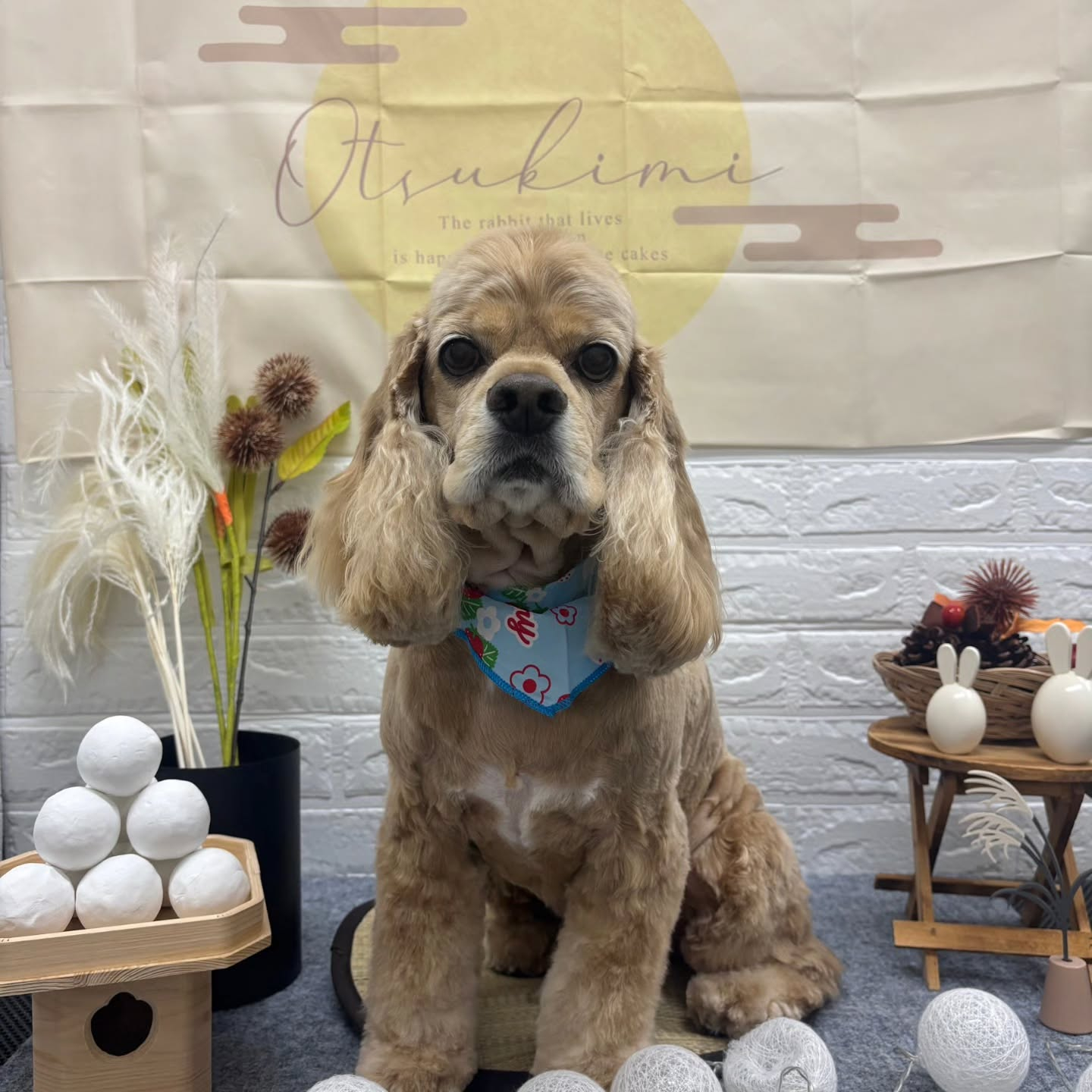 🌝🌝🌝🌝🌝🌝🌝