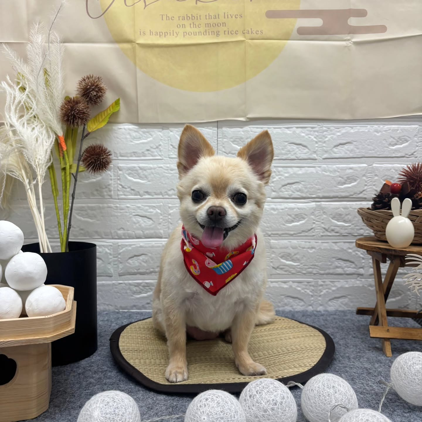 🌝🌝🌝🌝🌝🌝🌝