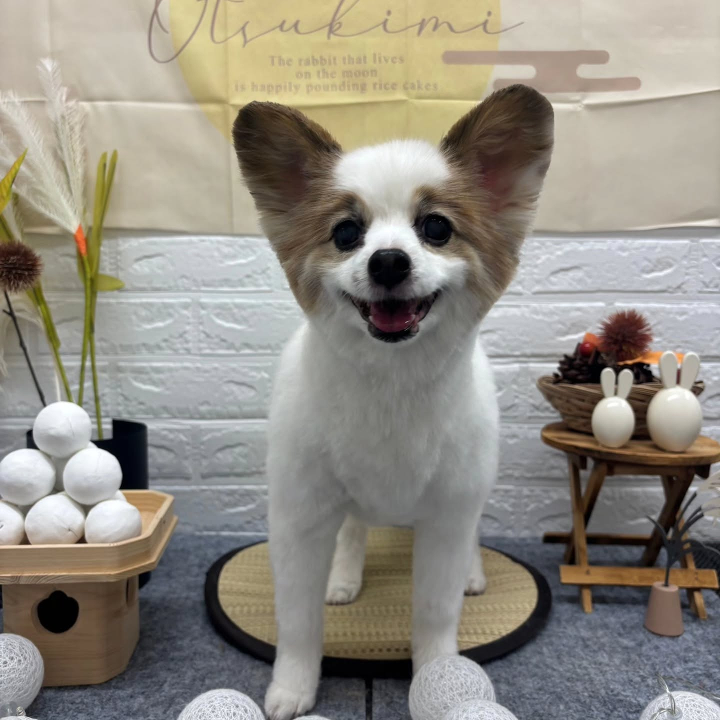 🌝🌝🌝🌝🌝🌝🌝