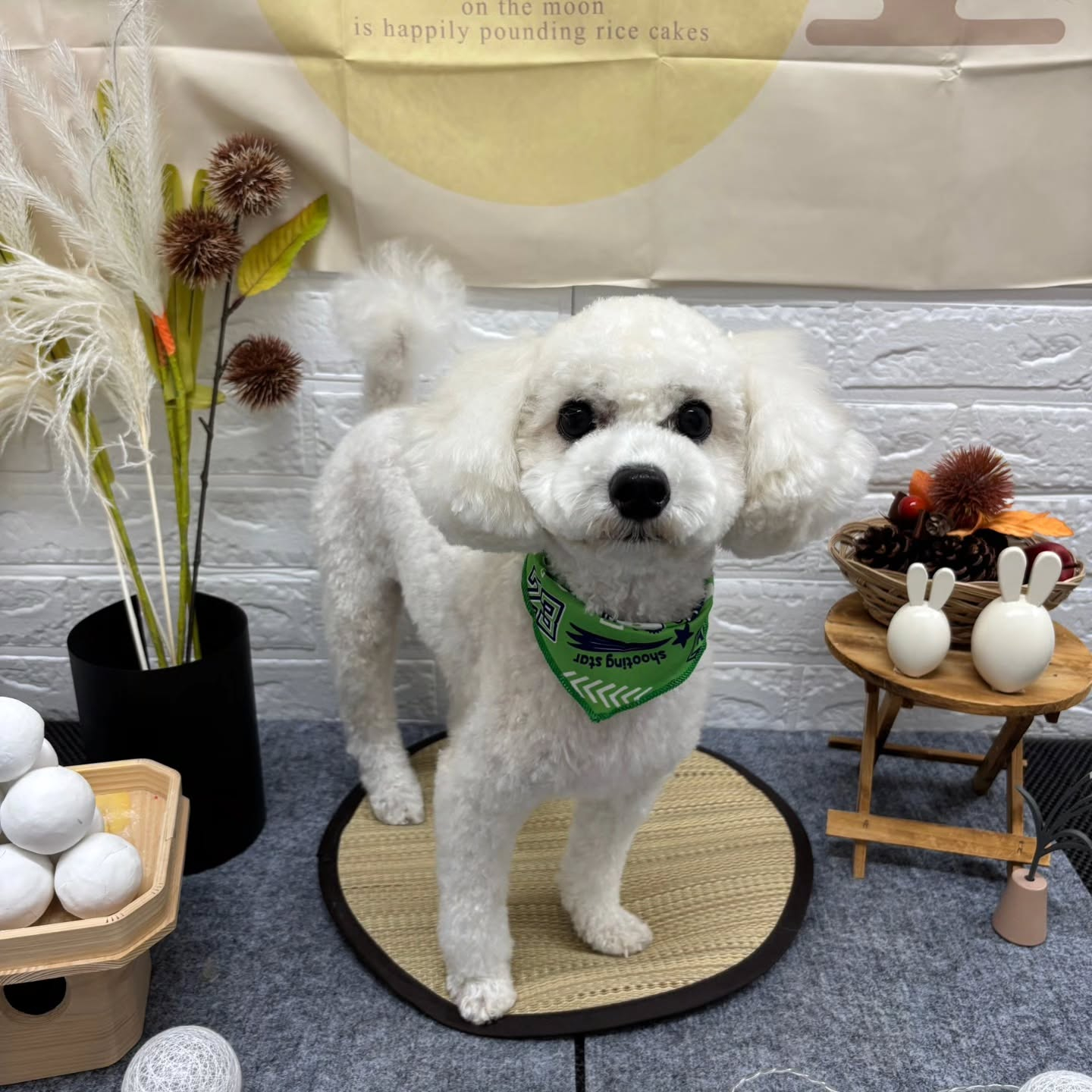 🌝🌝🌝🌝🌝🌝🌝