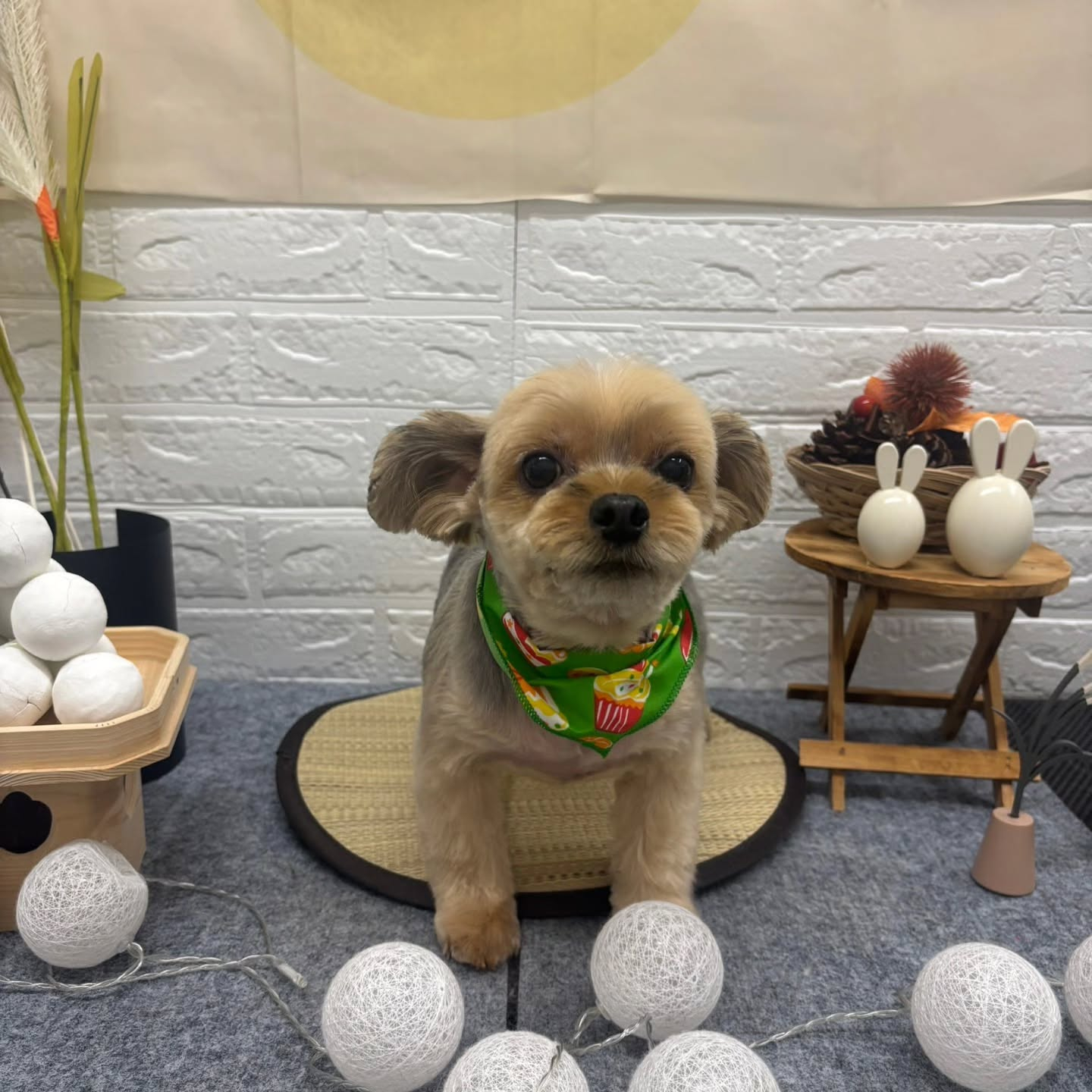 🌝🌝🌝🌝🌝🌝🌝