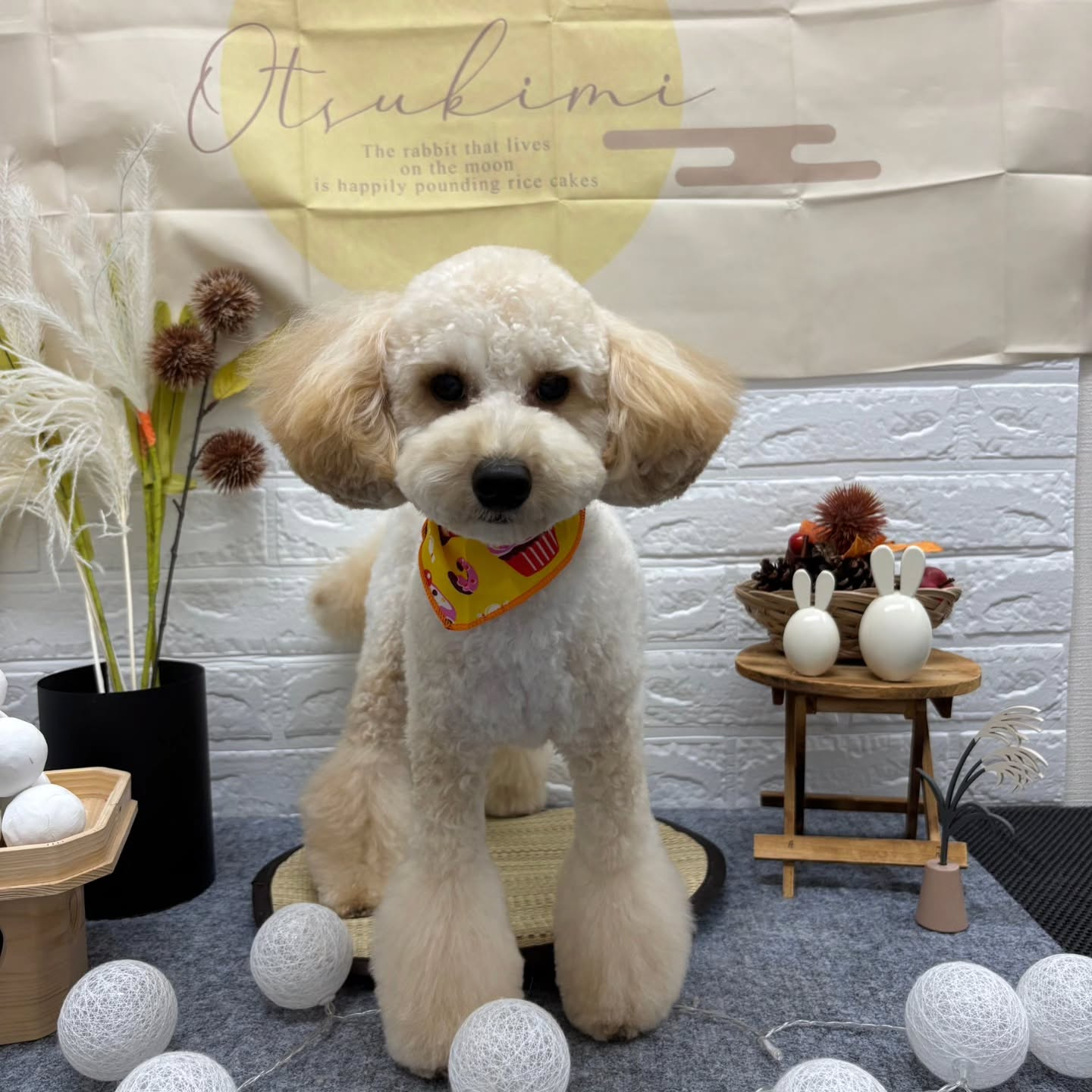 🌝🌝🌝🌝🌝🌝🌝