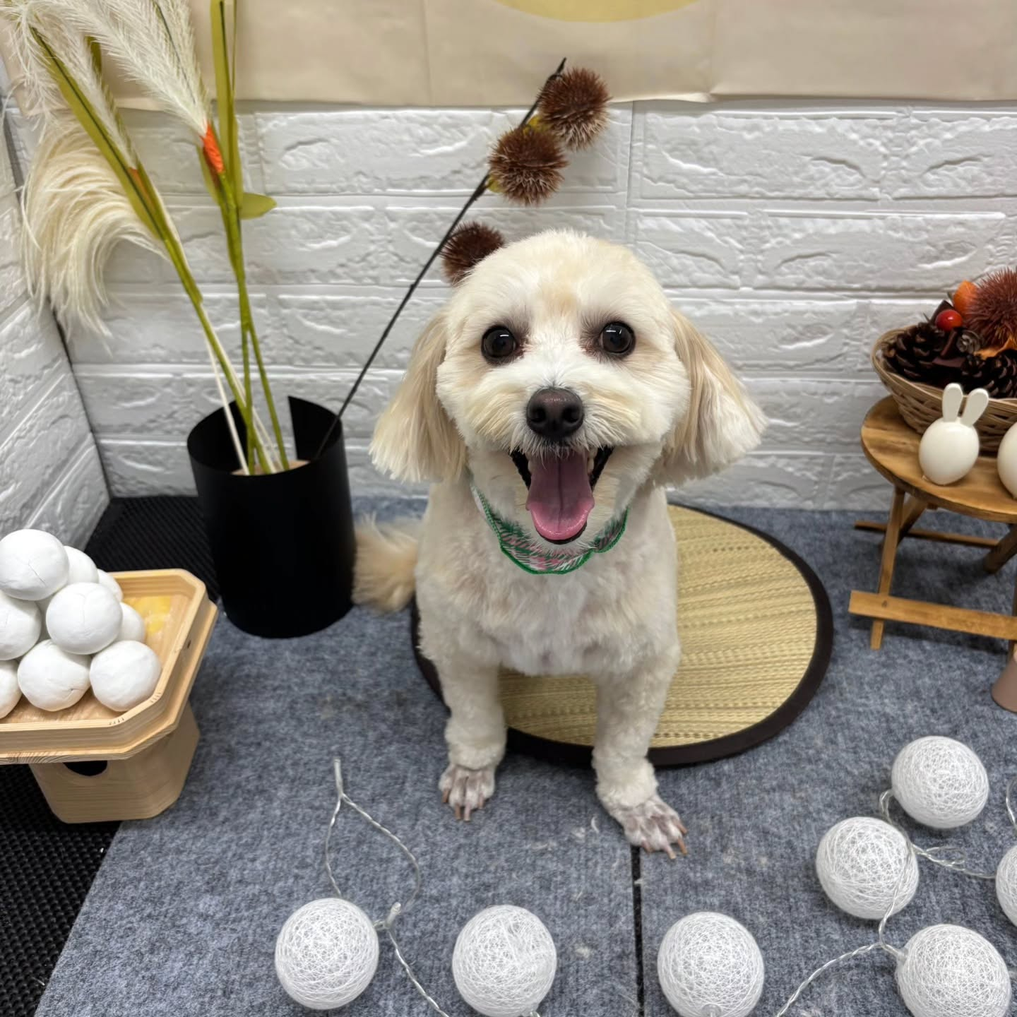 🌝🌝🌝🌝🌝🌝🌝