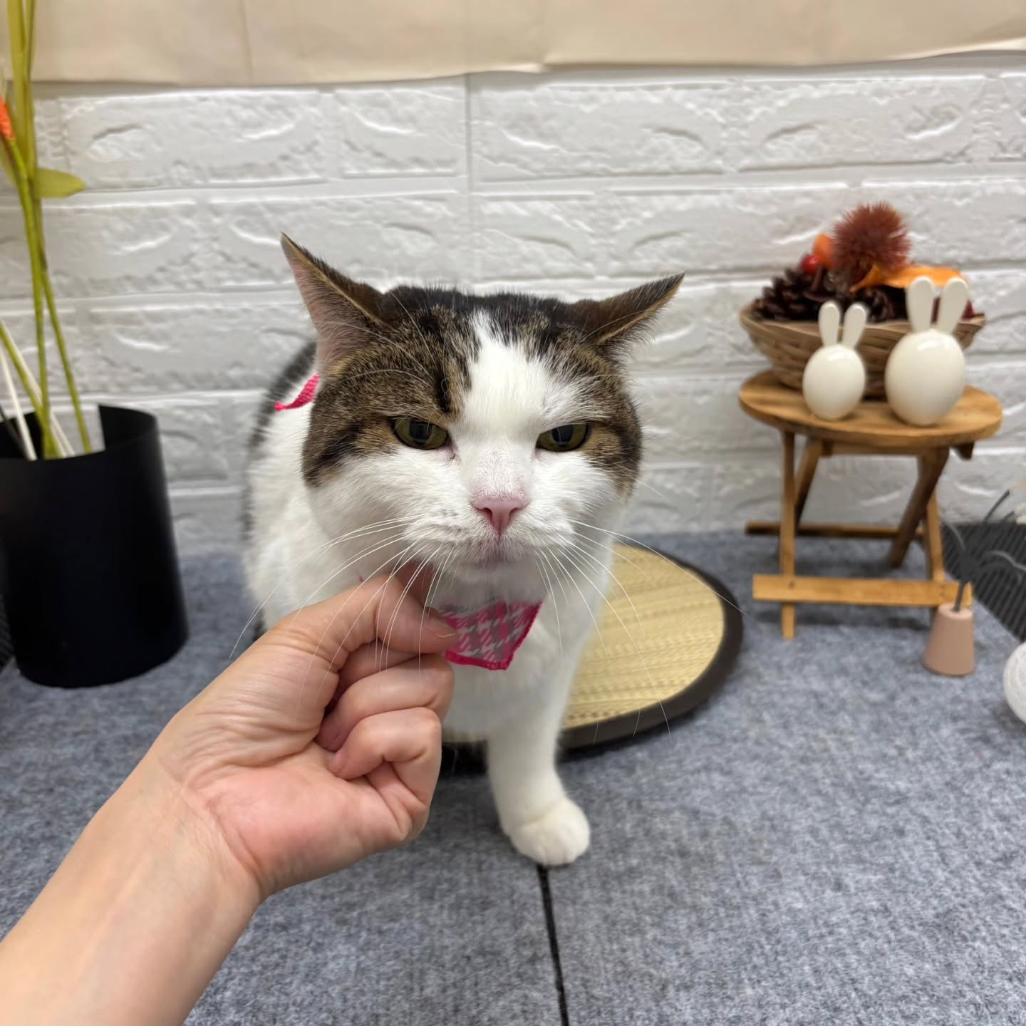 🌝🌝🌝🌝🌝🌝🌝