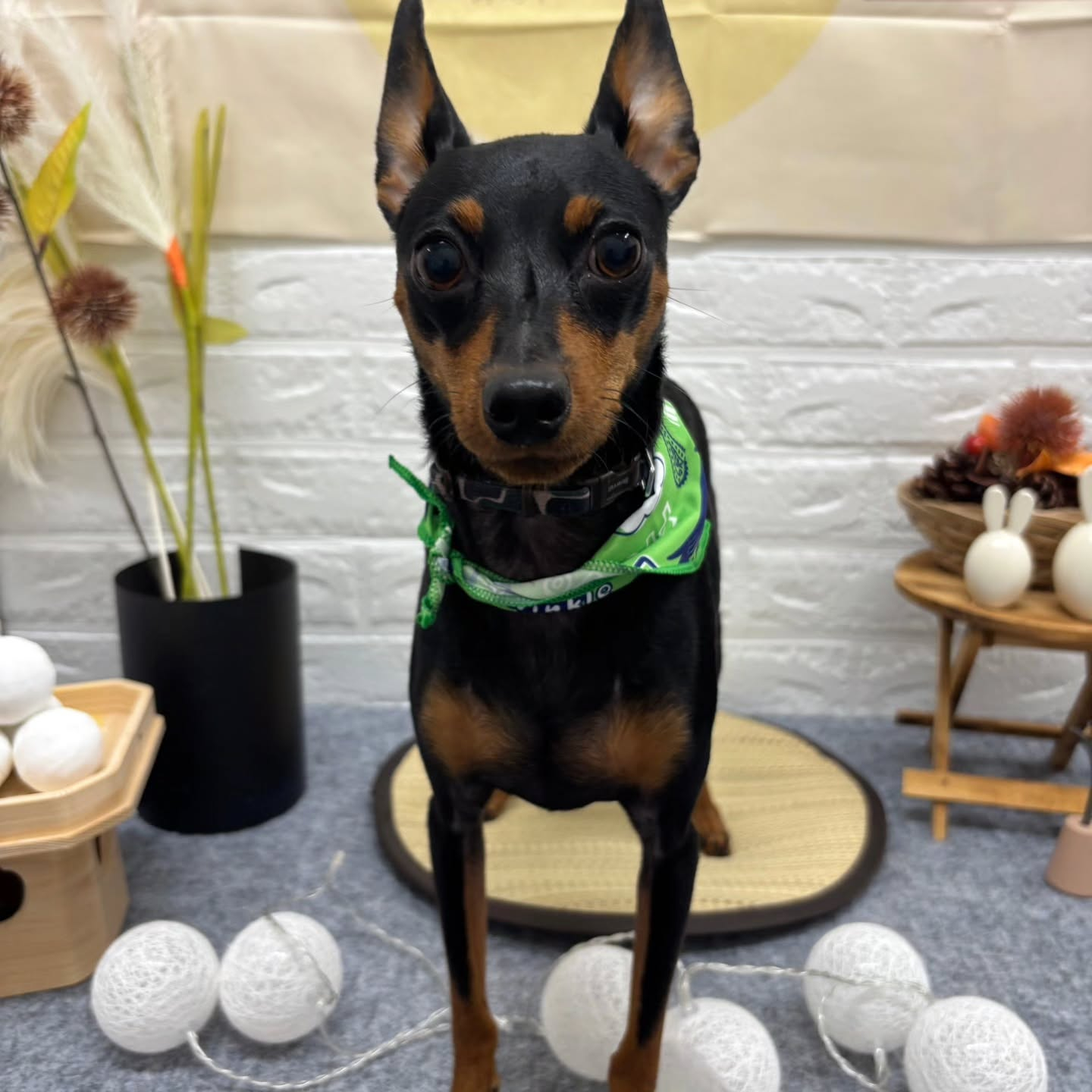 🌝🌝🌝🌝🌝🌝🌝