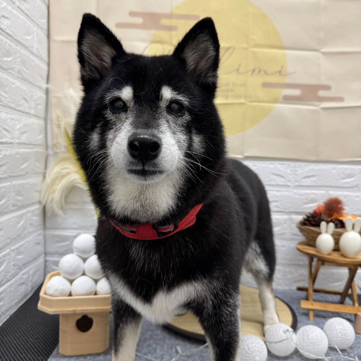 🌝🌝🌝🌝🌝🌝🌝