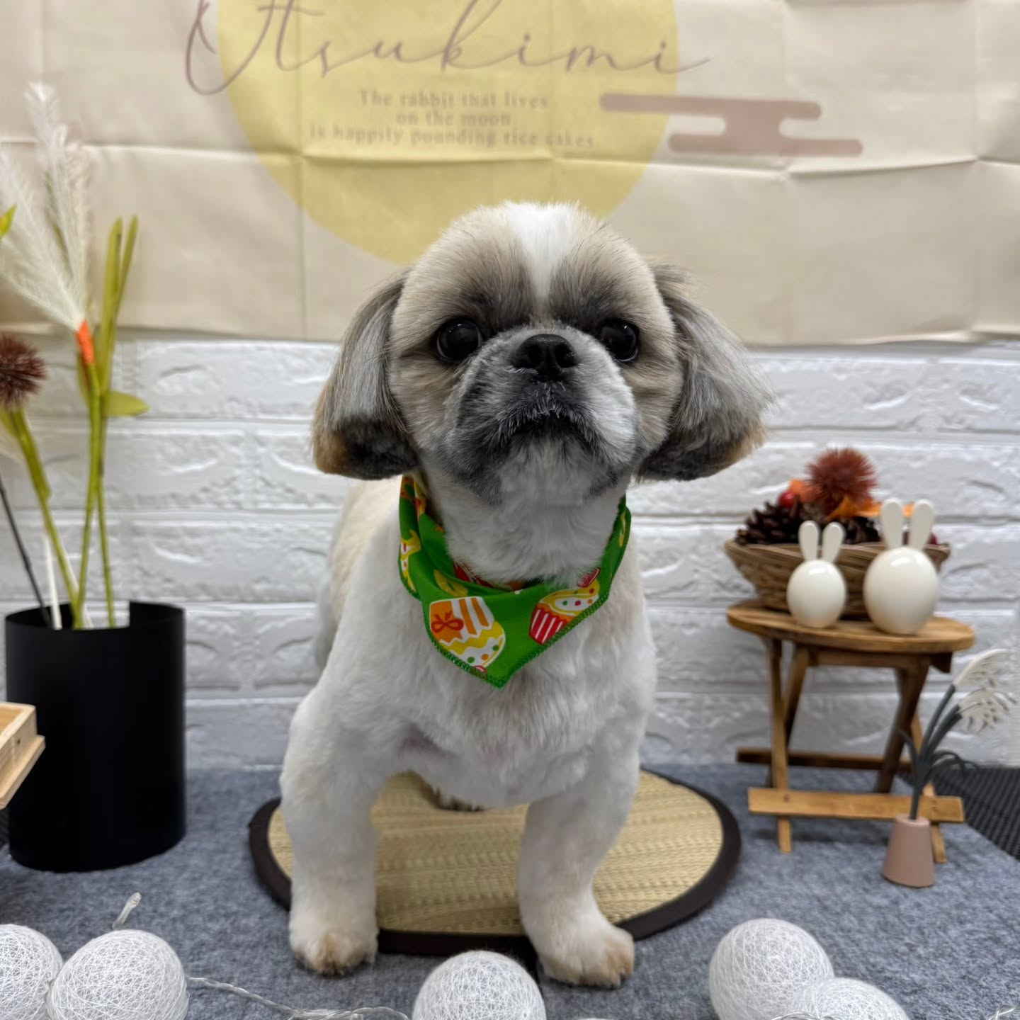 🌝🌝🌝🌝🌝🌝🌝