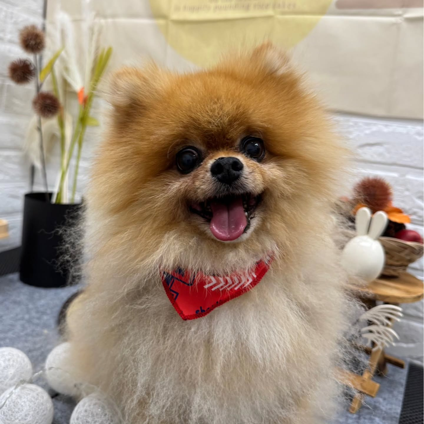 🌝🌝🌝🌝🌝🌝🌝