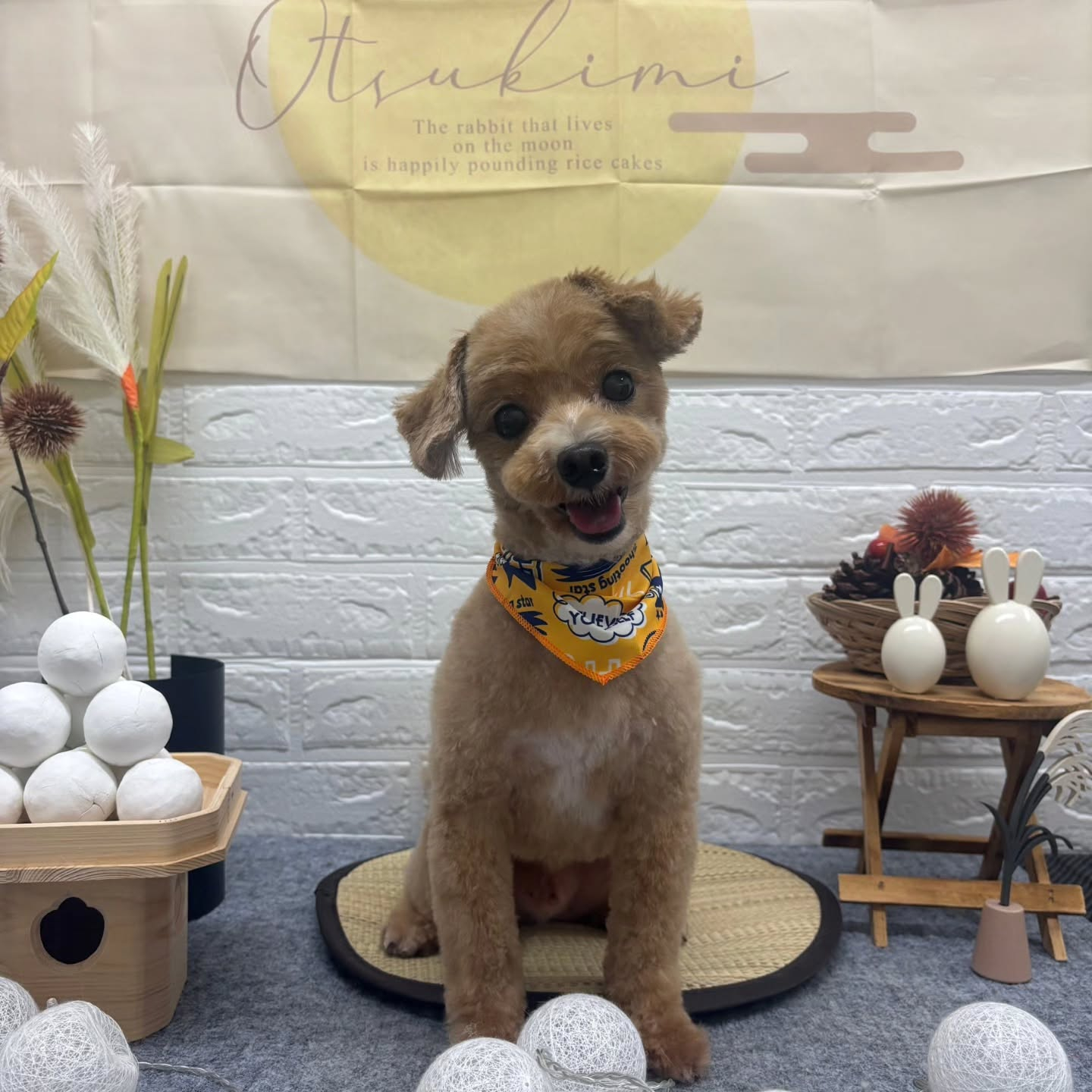 🌝🌝🌝🌝🌝🌝🌝