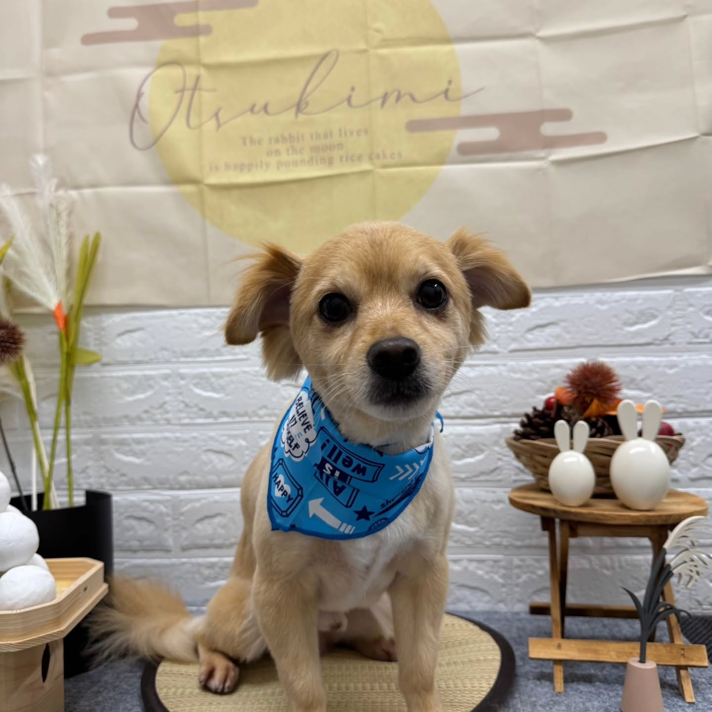 🌾🌾🌾🌾🌾🌾🌾🌾